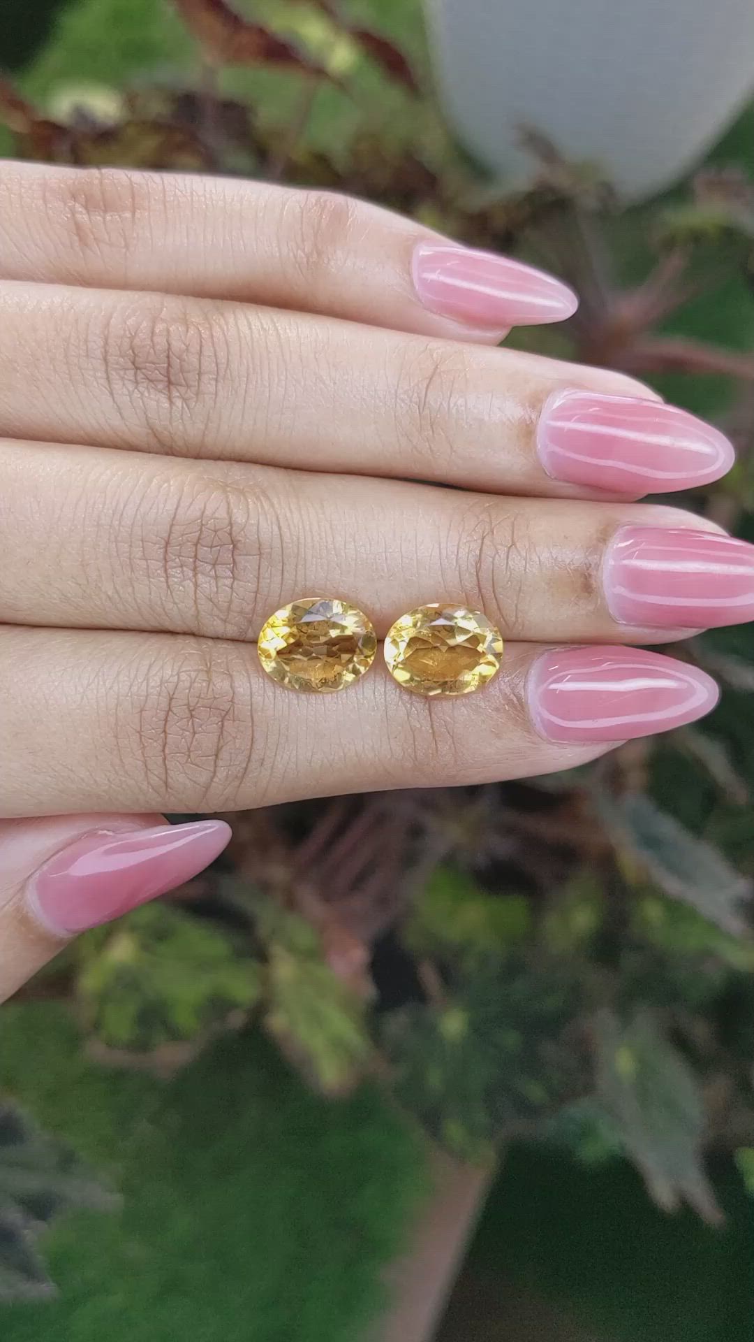 5.38&nbsp;Ct.Tw.Total Carat Weight Citrine Pair from Brazil Size Video