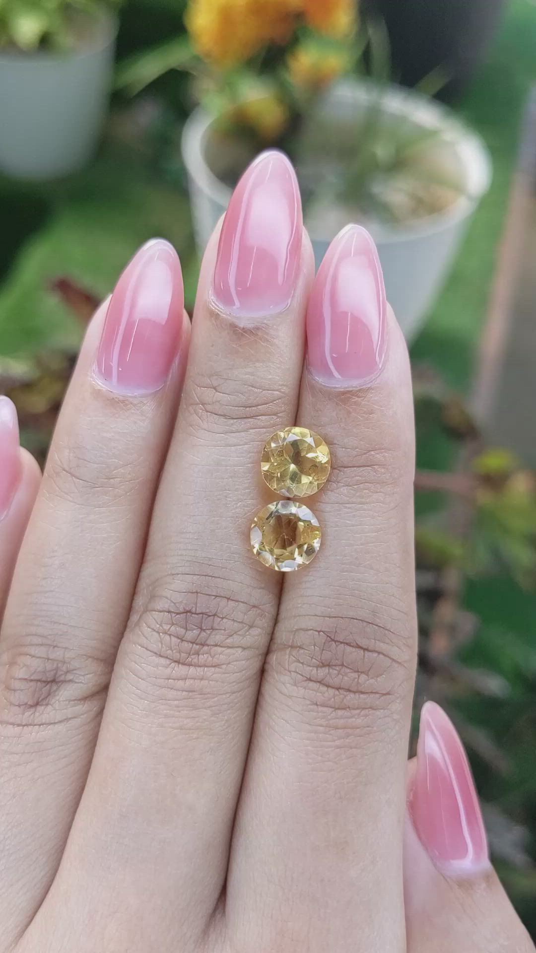 3.36&nbsp;Ct.Tw.Total Carat Weight Citrine Pair from Brazil Size Video