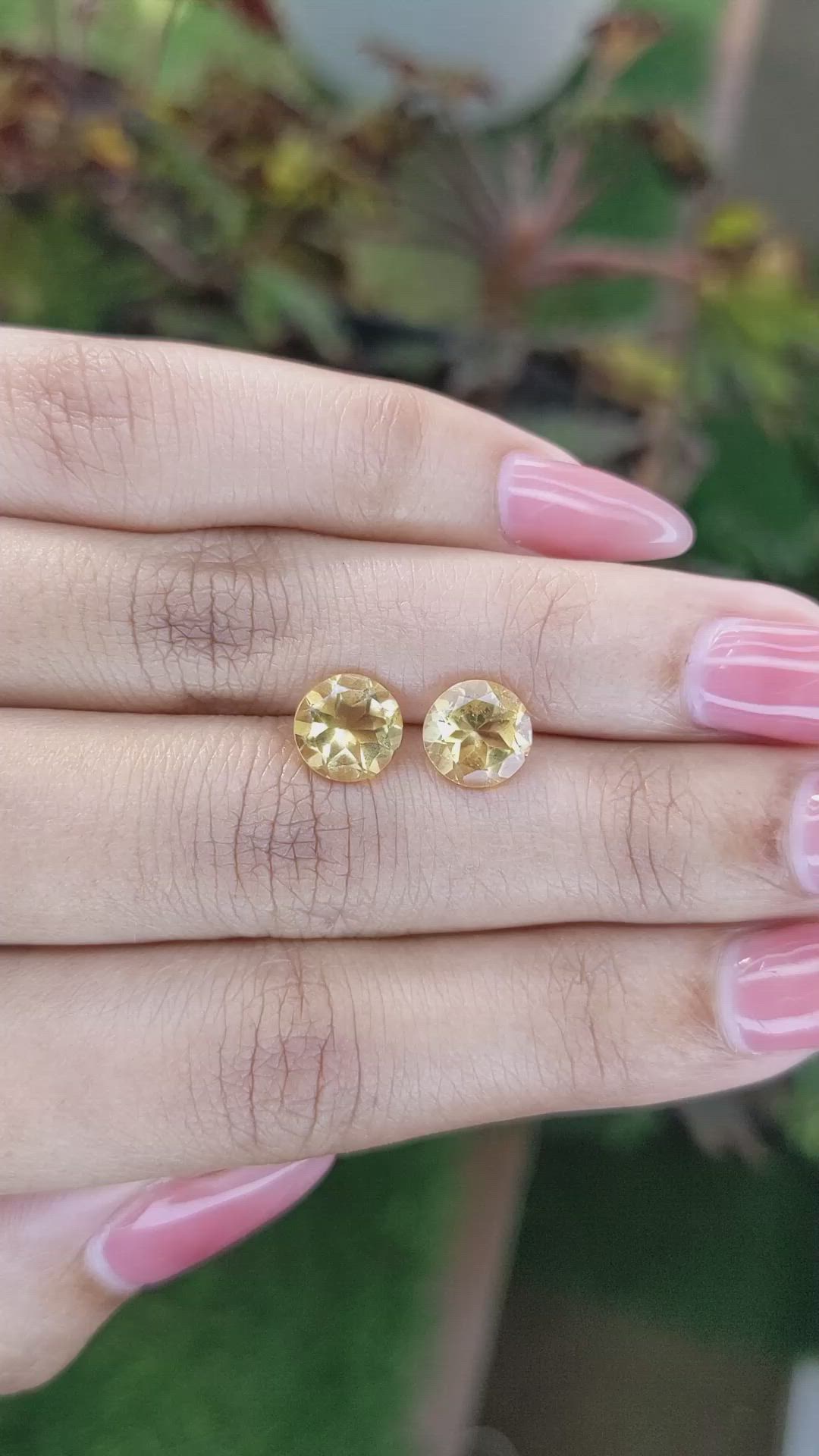 3.02&nbsp;Ct.Tw.Total Carat Weight Citrine Pair from Brazil Size Video