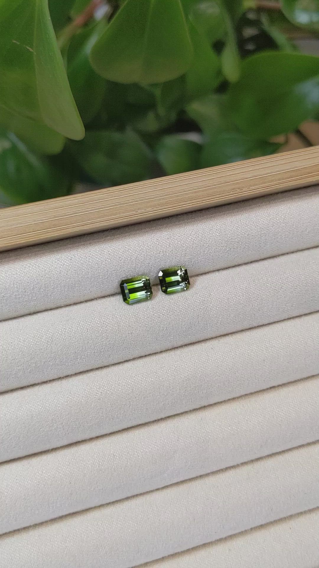 2.88&nbsp;Ct.Tw.Total Carat Weight Tourmaline Pair from Brazil Size Video