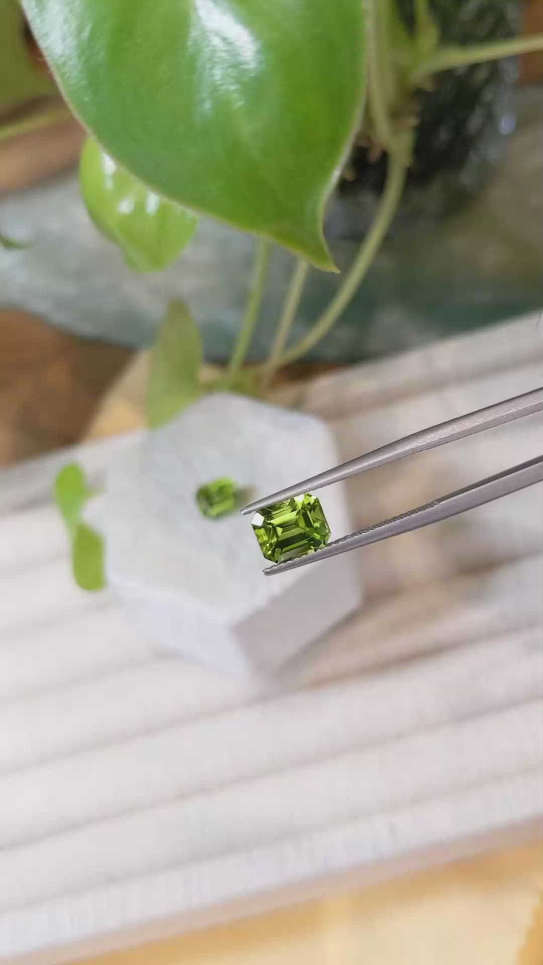 4.51&nbsp;Ct.Tw.Total Carat Weight Peridot Pair from Pakistan Size Video