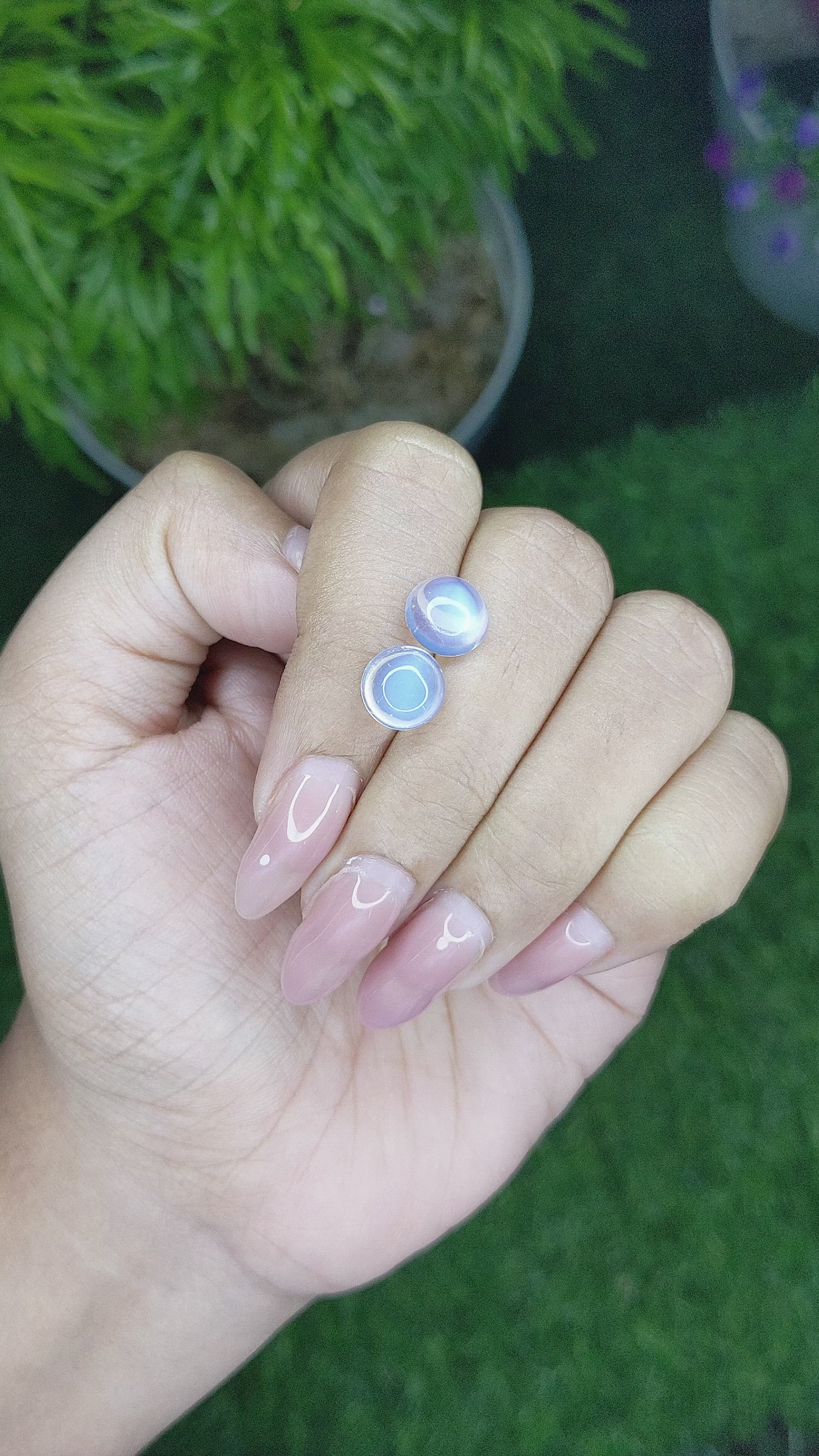 4.64 Ct.Tw.Total Carat Weight Cabochon Moonstone Pair from Madagascar Size Video