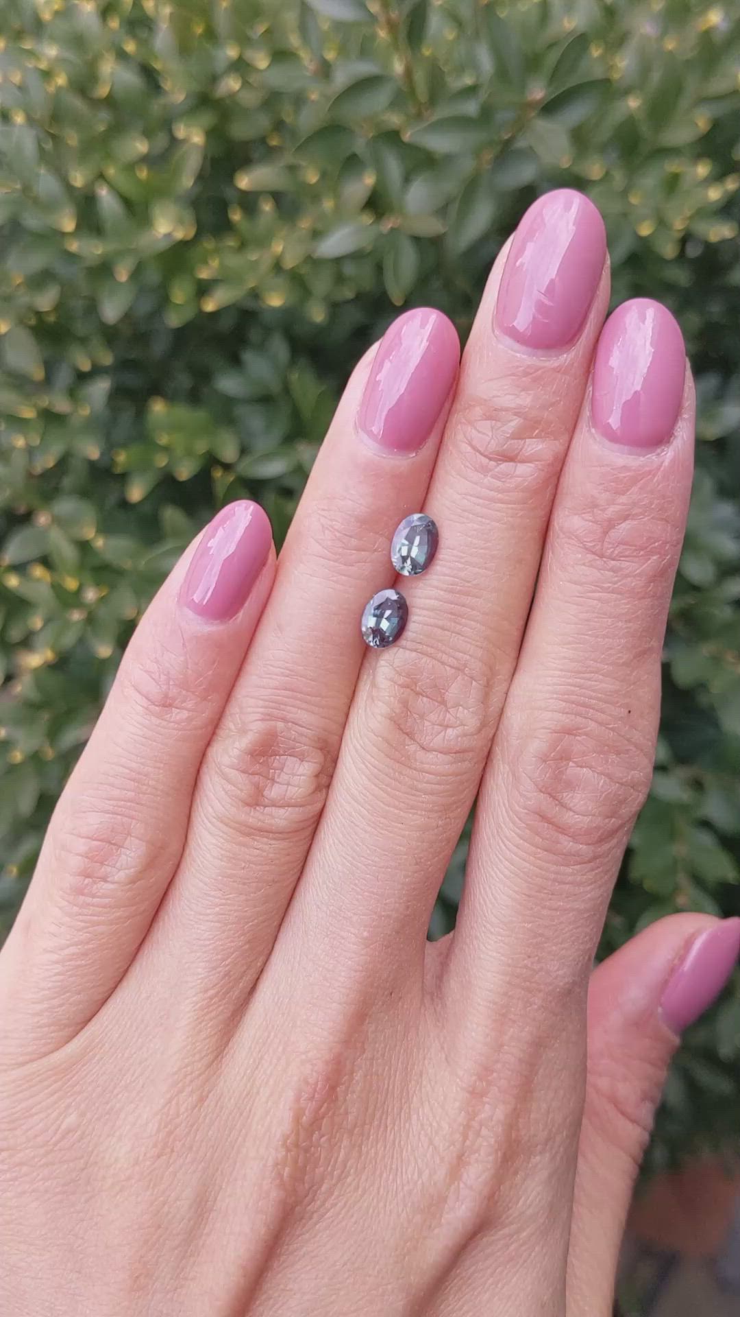 1.62 Ct.Tw.Total Carat Weight Alexandrite Pair from Ceylon (Sri Lanka) Size Video