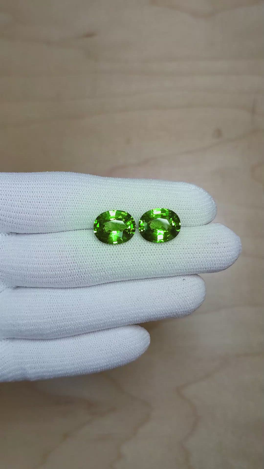11.06&nbsp;Ct.Tw.Total Carat Weight Tsavorite Garnet Pair from Madagascar Size Video
