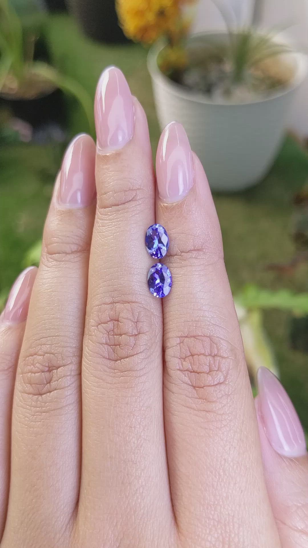 1.38&nbsp;Ct.Tw.Total Carat Weight Tanzanite Pair from Tanzania Size Video