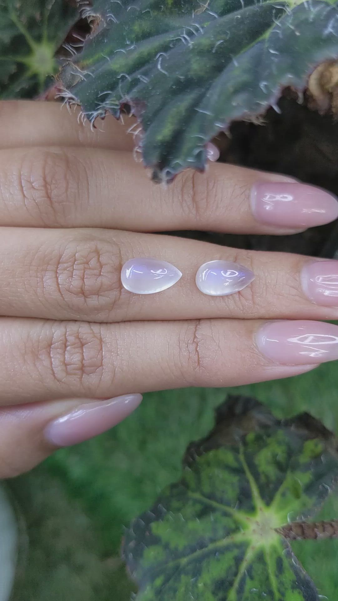 4.98&nbsp;Ct.Tw.Total Carat Weight Cabochon Moonstone Pair from Tanzania Size Video