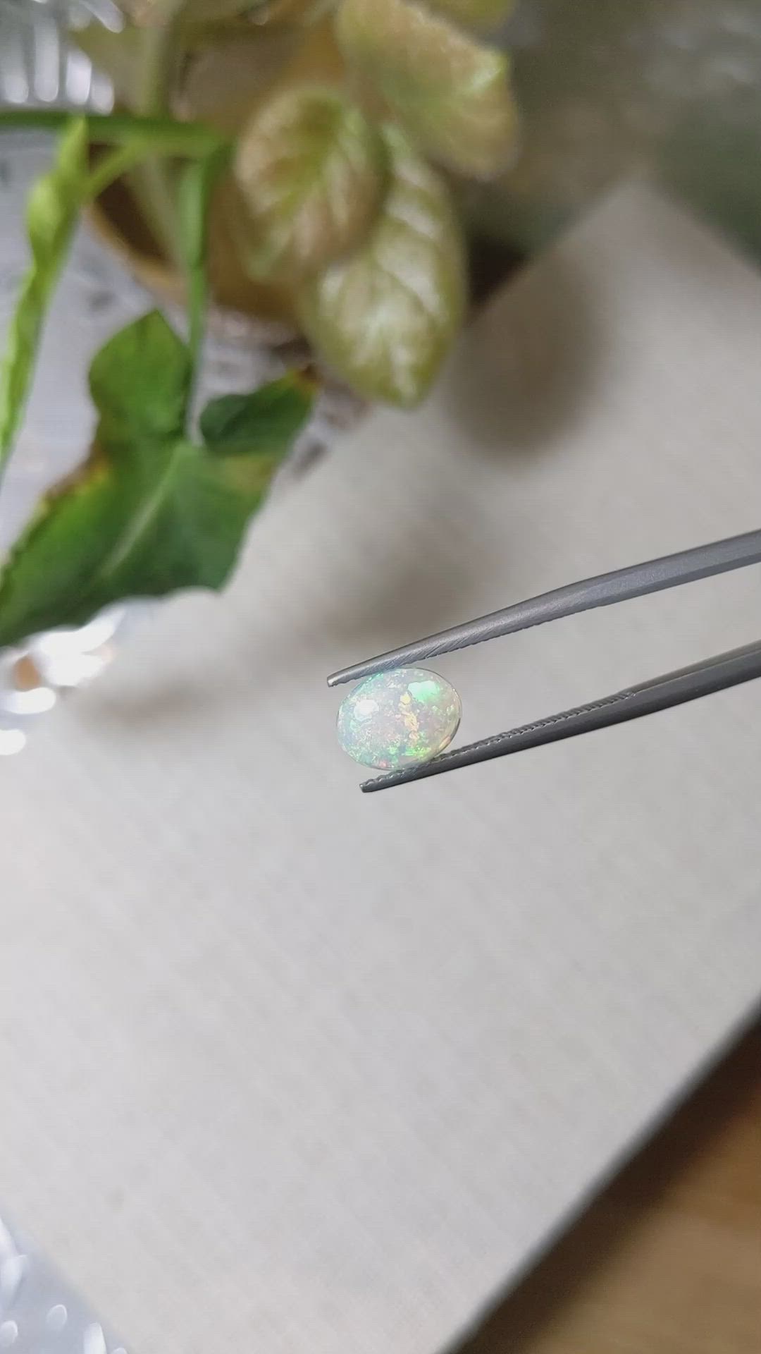 2.35&nbsp;Ct.Tw.Total Carat Weight Cabochon Opal Pair from Ethiopia Size Video