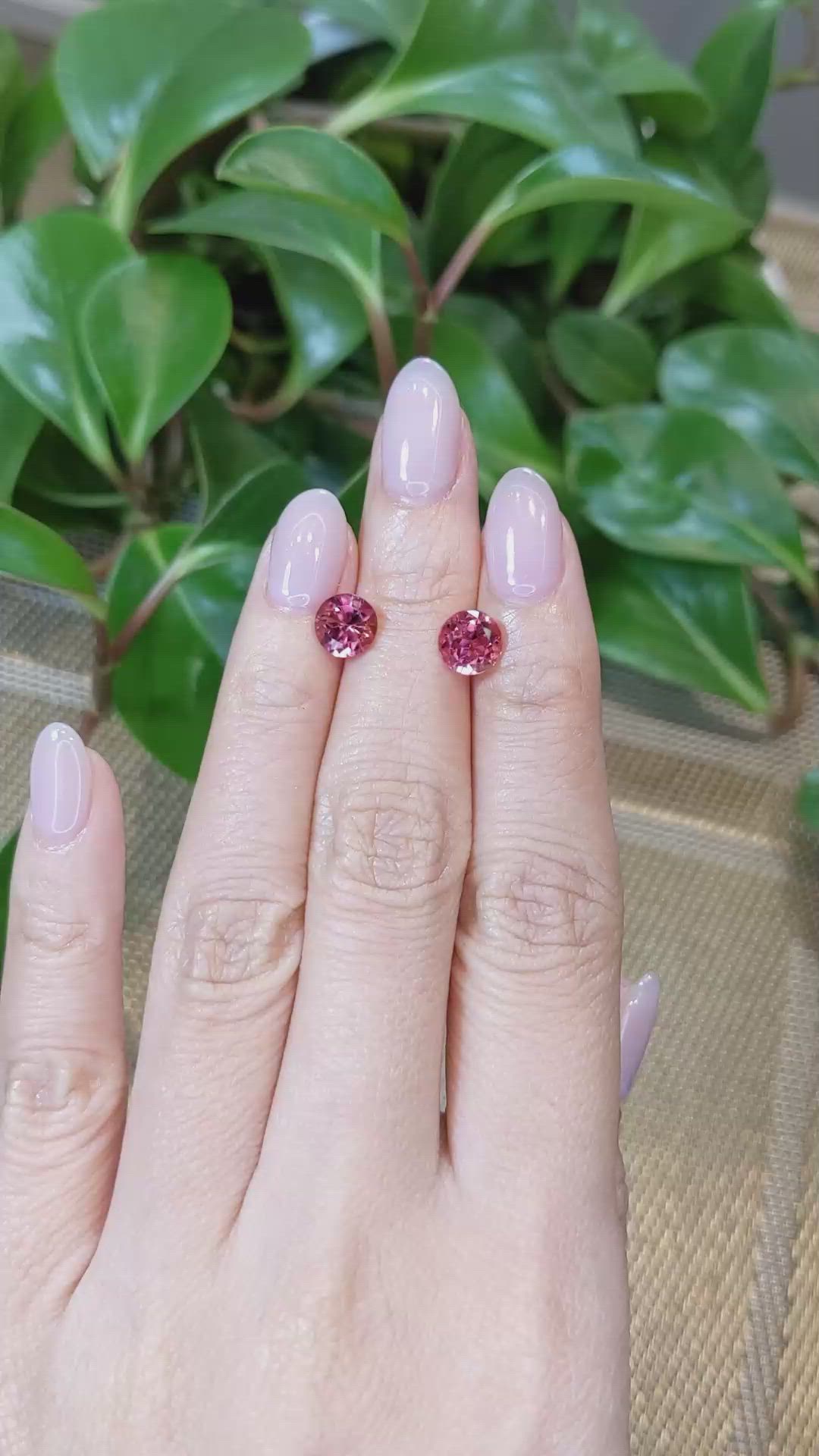 2.71&nbsp;Ct.Tw.Total Carat Weight Tourmaline Pair from Mozambique Size Video