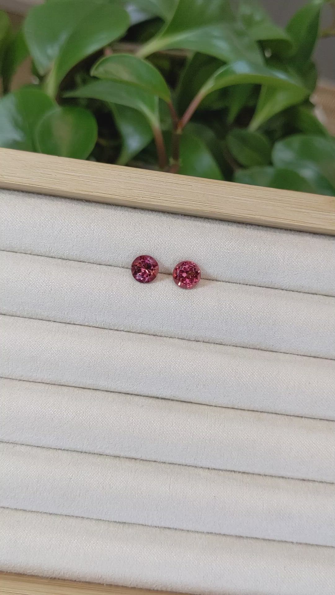 2.71&nbsp;Ct.Tw.Total Carat Weight Tourmaline Pair from Mozambique Size Video