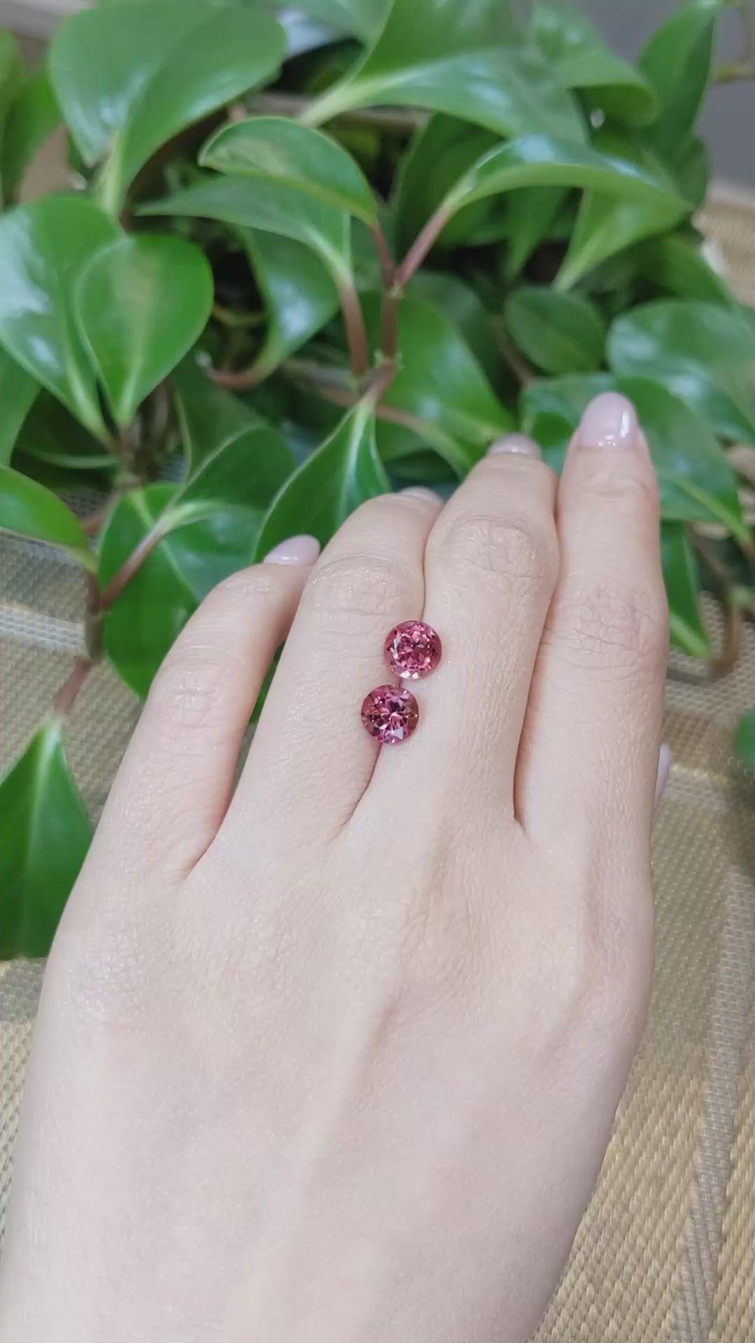 2.71&nbsp;Ct.Tw.Total Carat Weight Tourmaline Pair from Mozambique Size Video