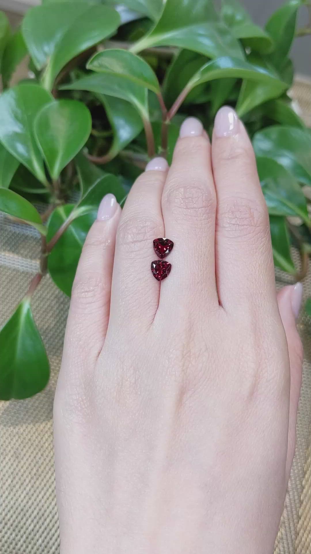 1.85 Ct.Tw.Total Carat Weight Garnet Pair from Tanzania Size Video