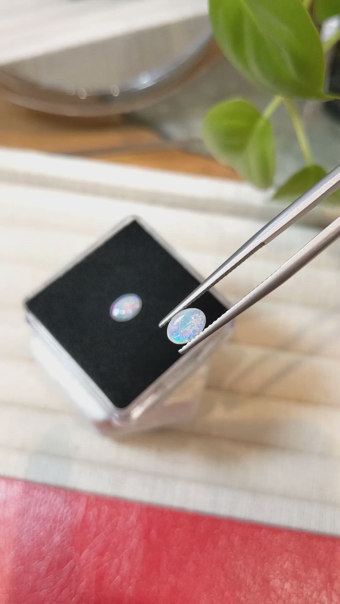 0.59 Ct.Tw.Total Carat Weight Cabochon Opal Pair from Australia Size Video