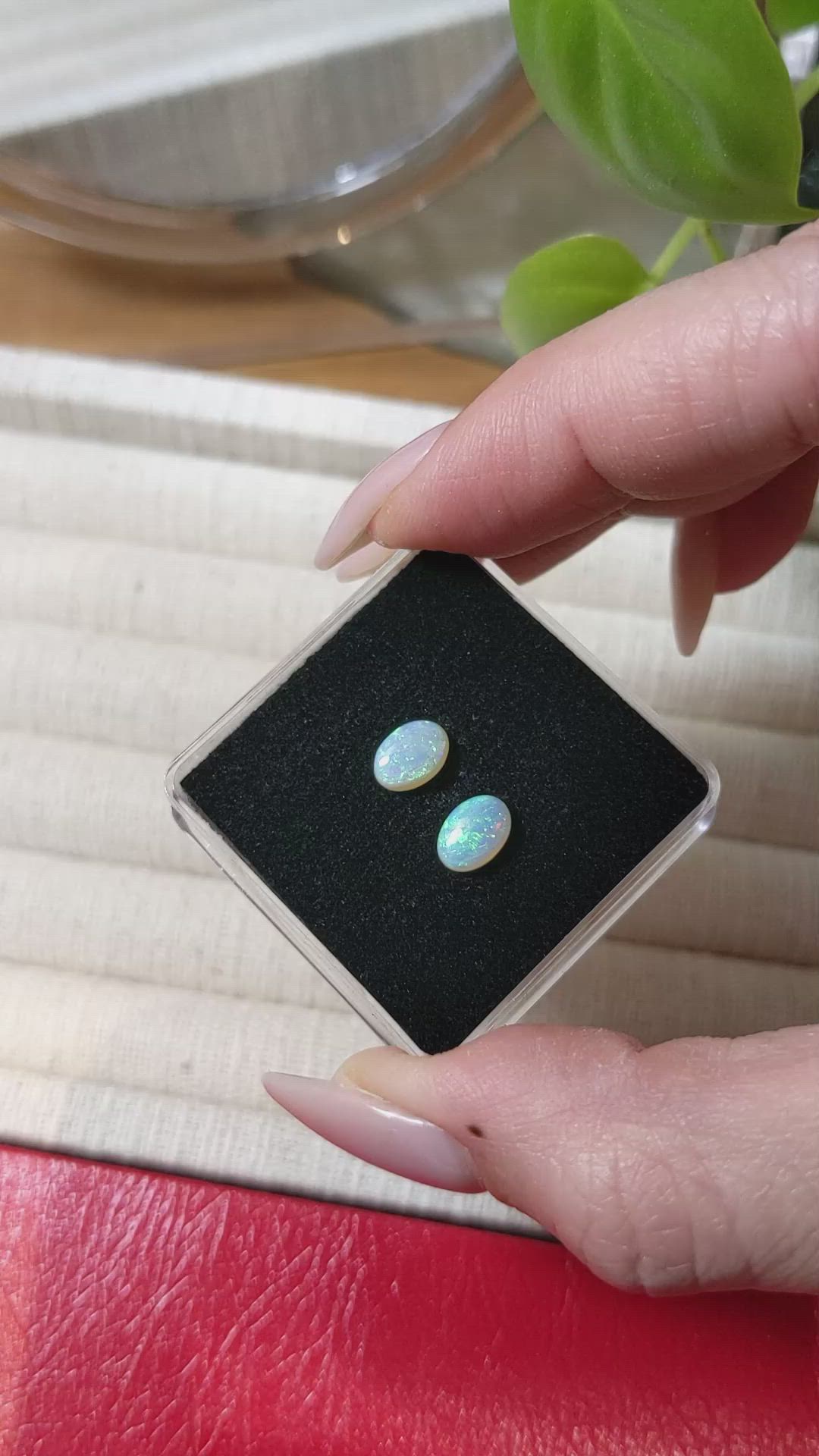 1.07 Ct.Tw.Total Carat Weight Cabochon Opal Pair from Australia Size Video