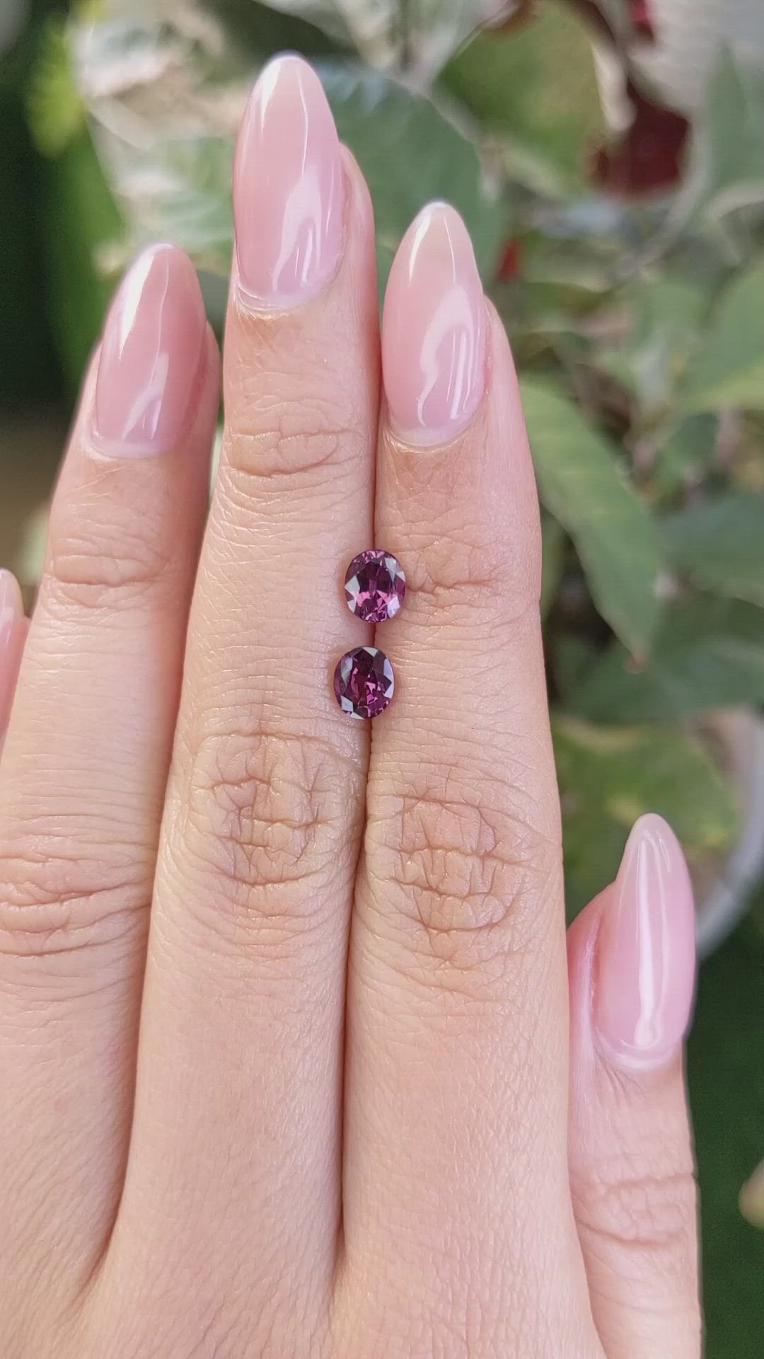 1.37&nbsp;Ct.Tw.Total Carat Weight Spinel Pair from Ceylon (Sri Lanka) Size Video