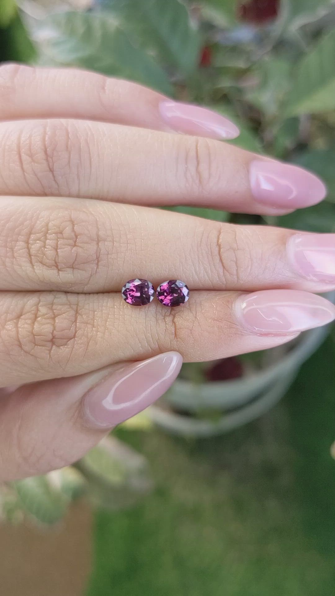 1.37&nbsp;Ct.Tw.Total Carat Weight Spinel Pair from Ceylon (Sri Lanka) Size Video