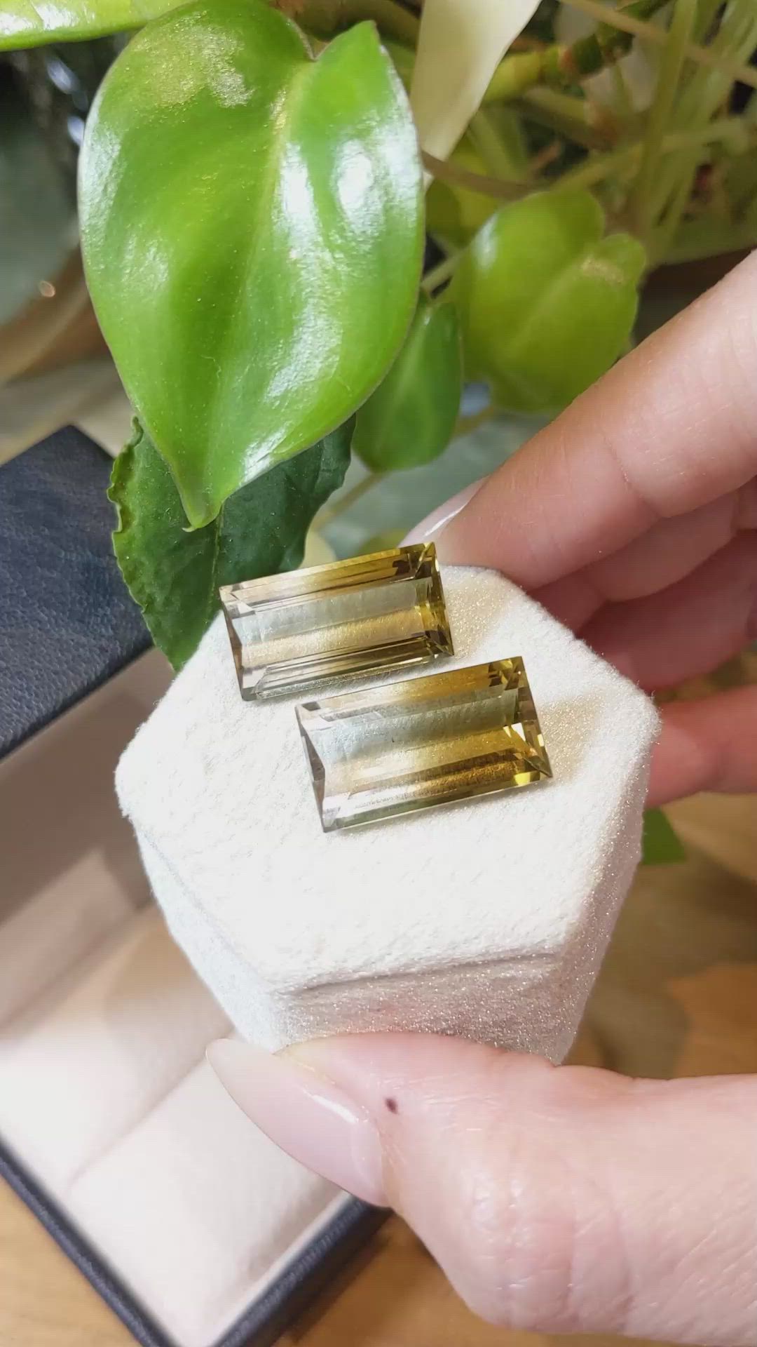 26.97 Ct.Tw.Total Carat Weight Citrine Pair from Brazil Size Video