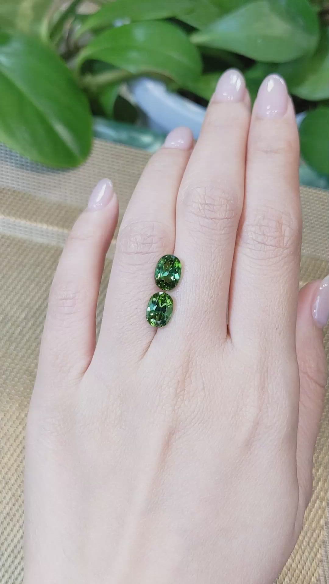 4.11&nbsp;Ct.Tw.Total Carat Weight Tourmaline Pair from Mozambique Size Video