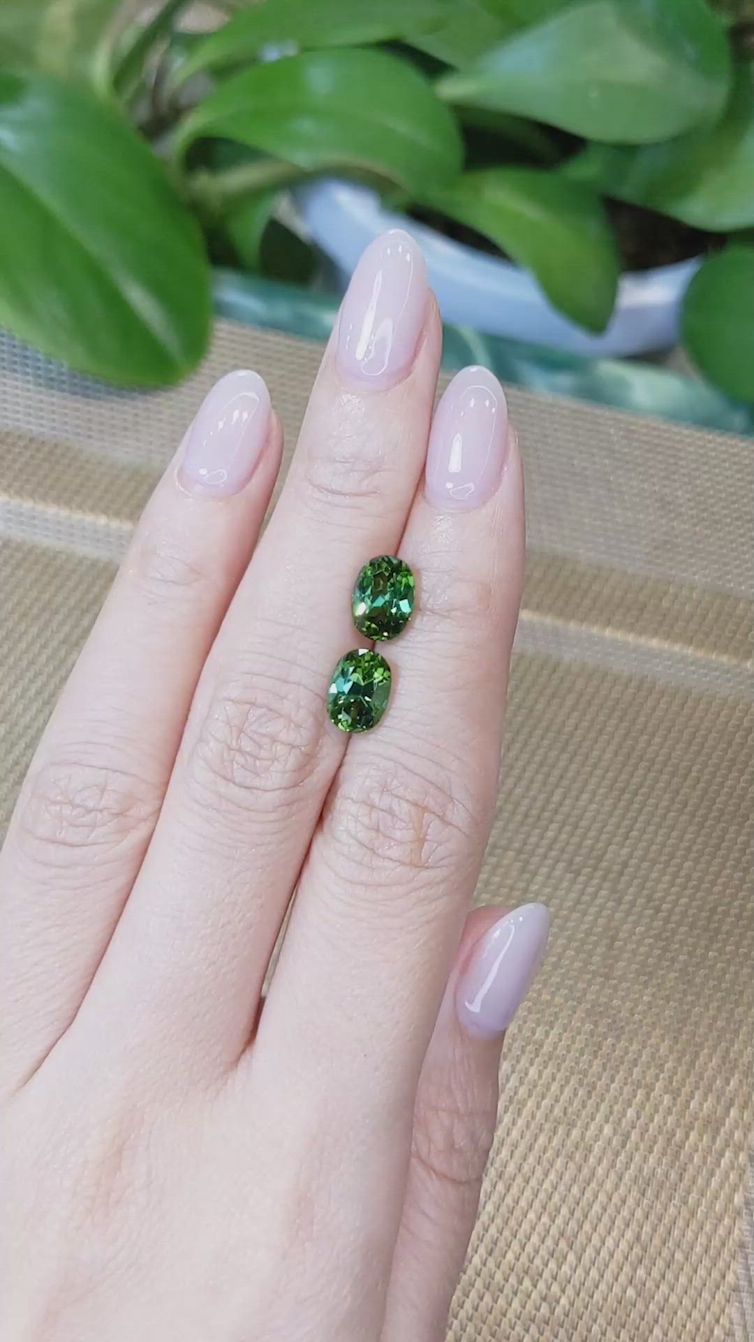 4.11&nbsp;Ct.Tw.Total Carat Weight Tourmaline Pair from Mozambique Size Video