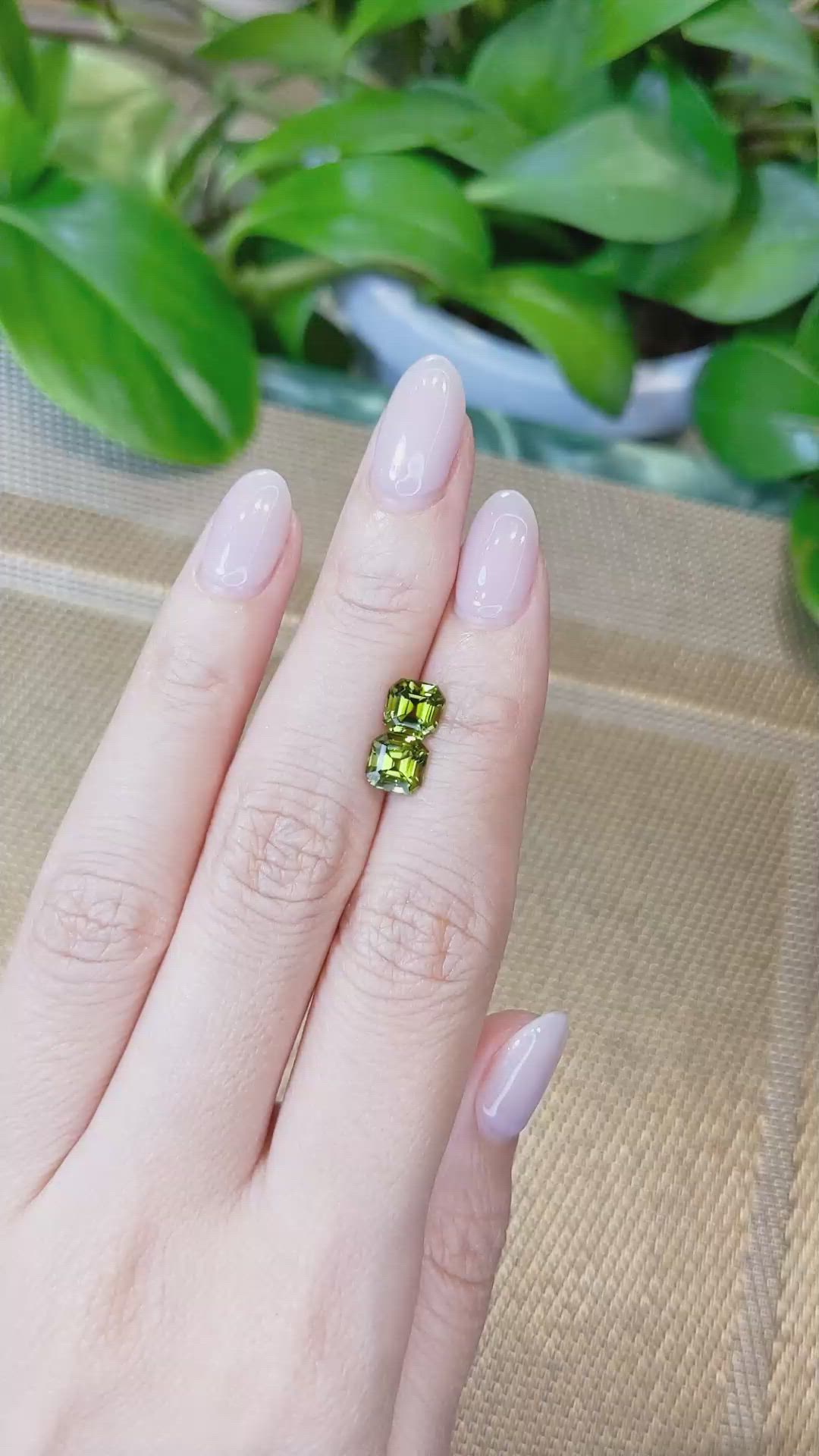 2.45&nbsp;Ct.Tw.Total Carat Weight Tourmaline Pair from Mozambique Size Video