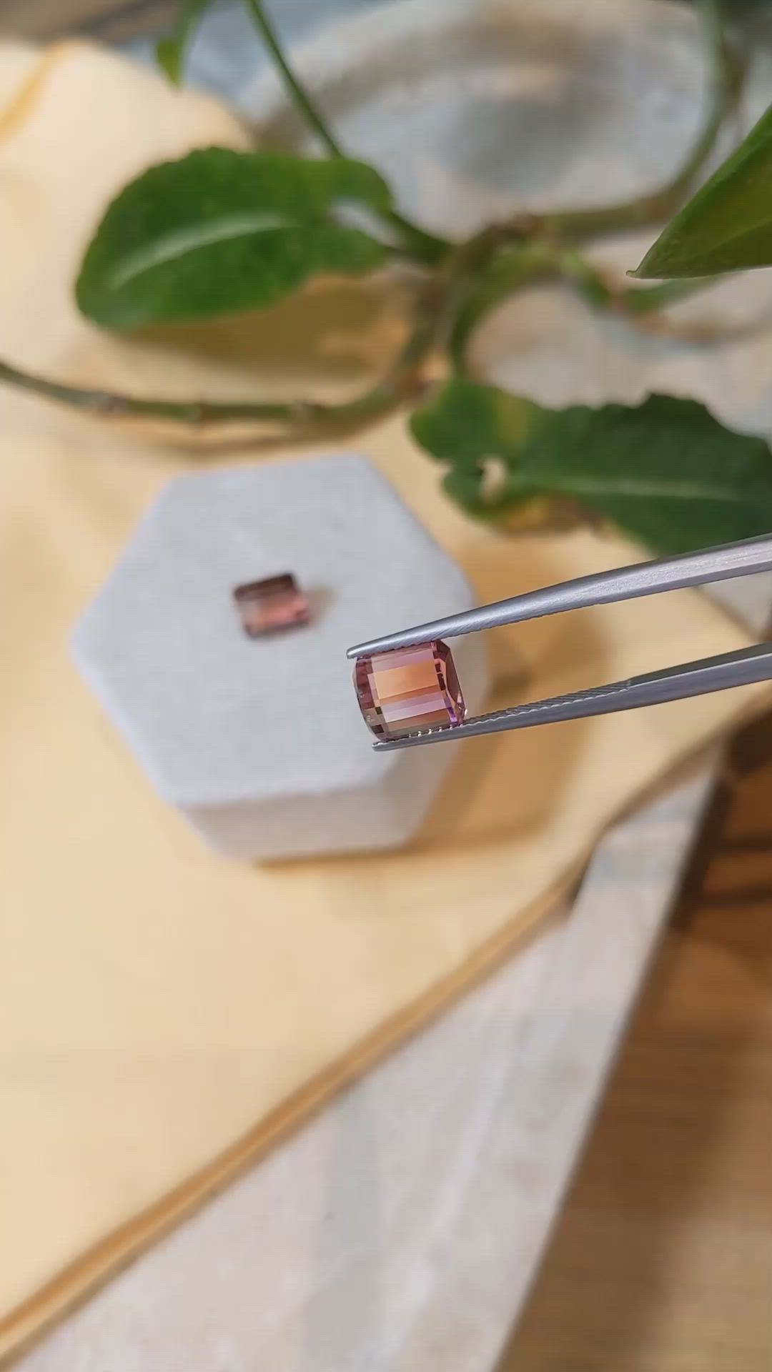 5.79&nbsp;Ct.Tw.Total Carat Weight Tourmaline Pair from Mozambique Size Video