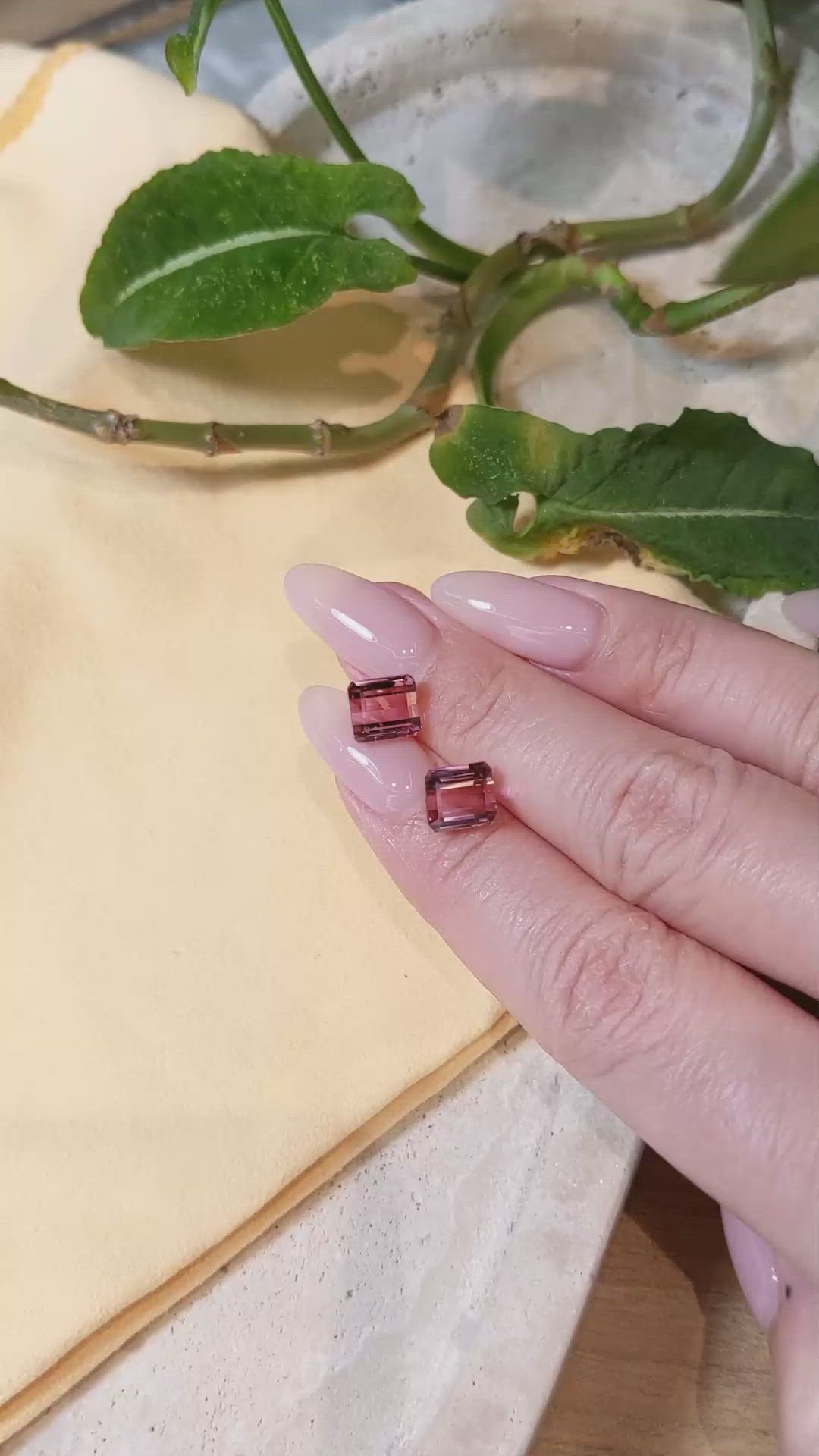 5.79&nbsp;Ct.Tw.Total Carat Weight Tourmaline Pair from Mozambique Size Video