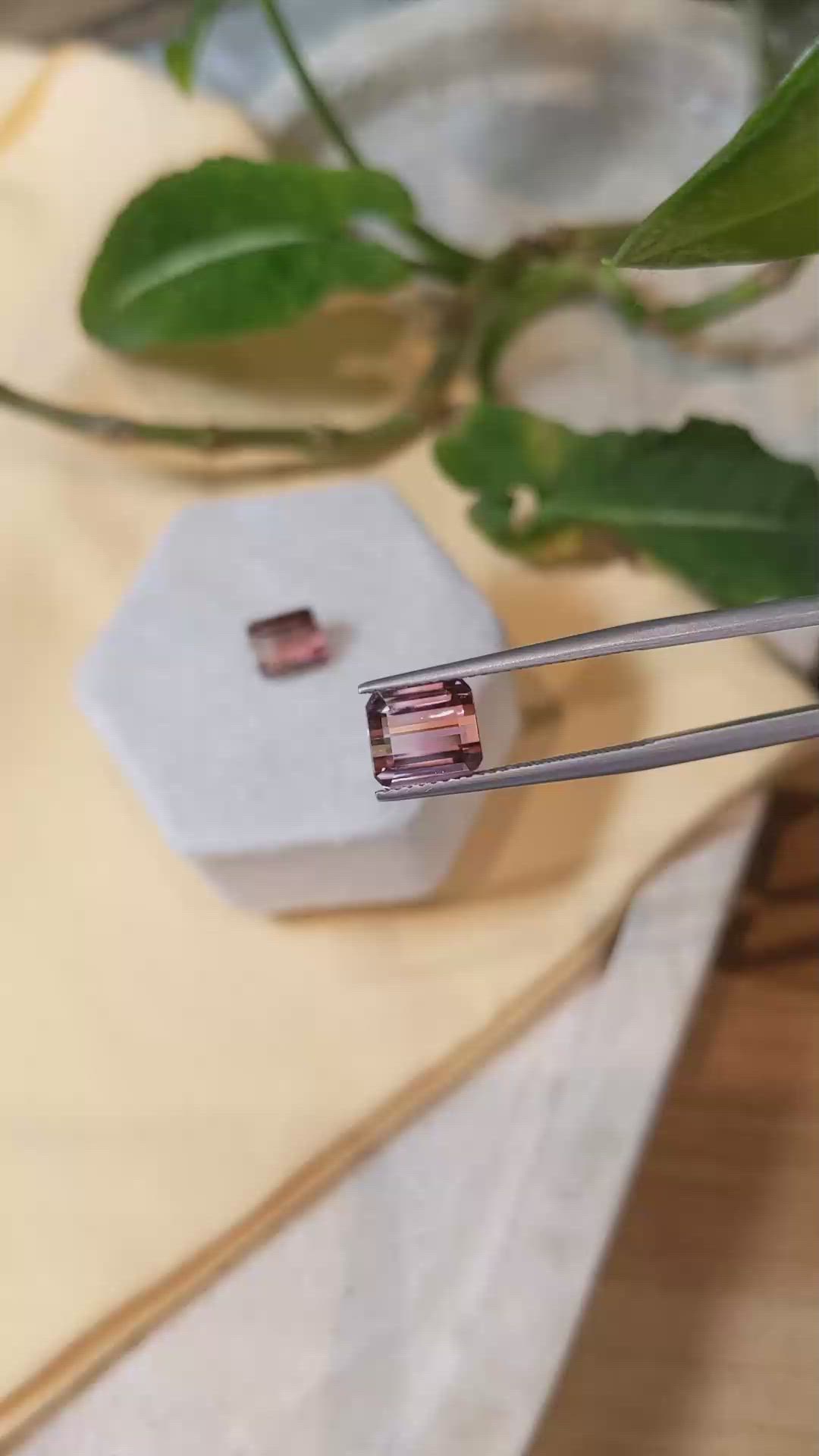 5.79&nbsp;Ct.Tw.Total Carat Weight Tourmaline Pair from Mozambique Size Video