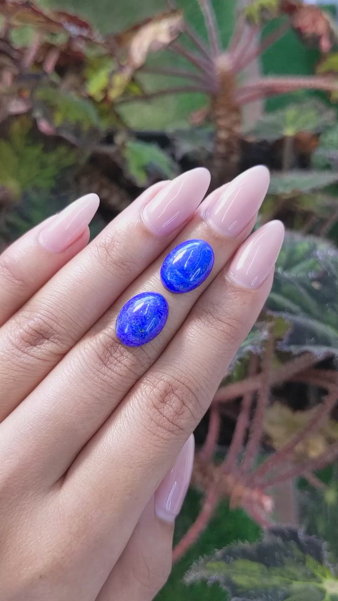 11.36&nbsp;Ct.Tw.Total Carat Weight Cabochon Lapis Pair from Afghanistan Size Video