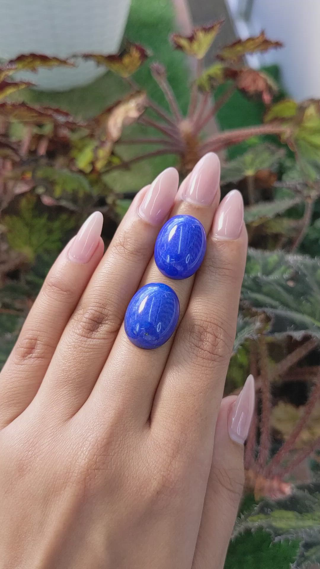 43.69&nbsp;Ct.Tw.Total Carat Weight Cabochon Lapis Pair from Afghanistan Size Video