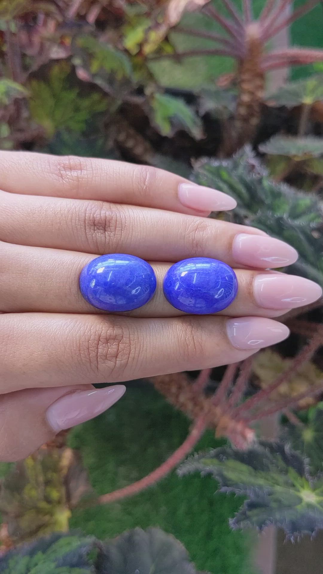 43.69&nbsp;Ct.Tw.Total Carat Weight Cabochon Lapis Pair from Afghanistan Size Video