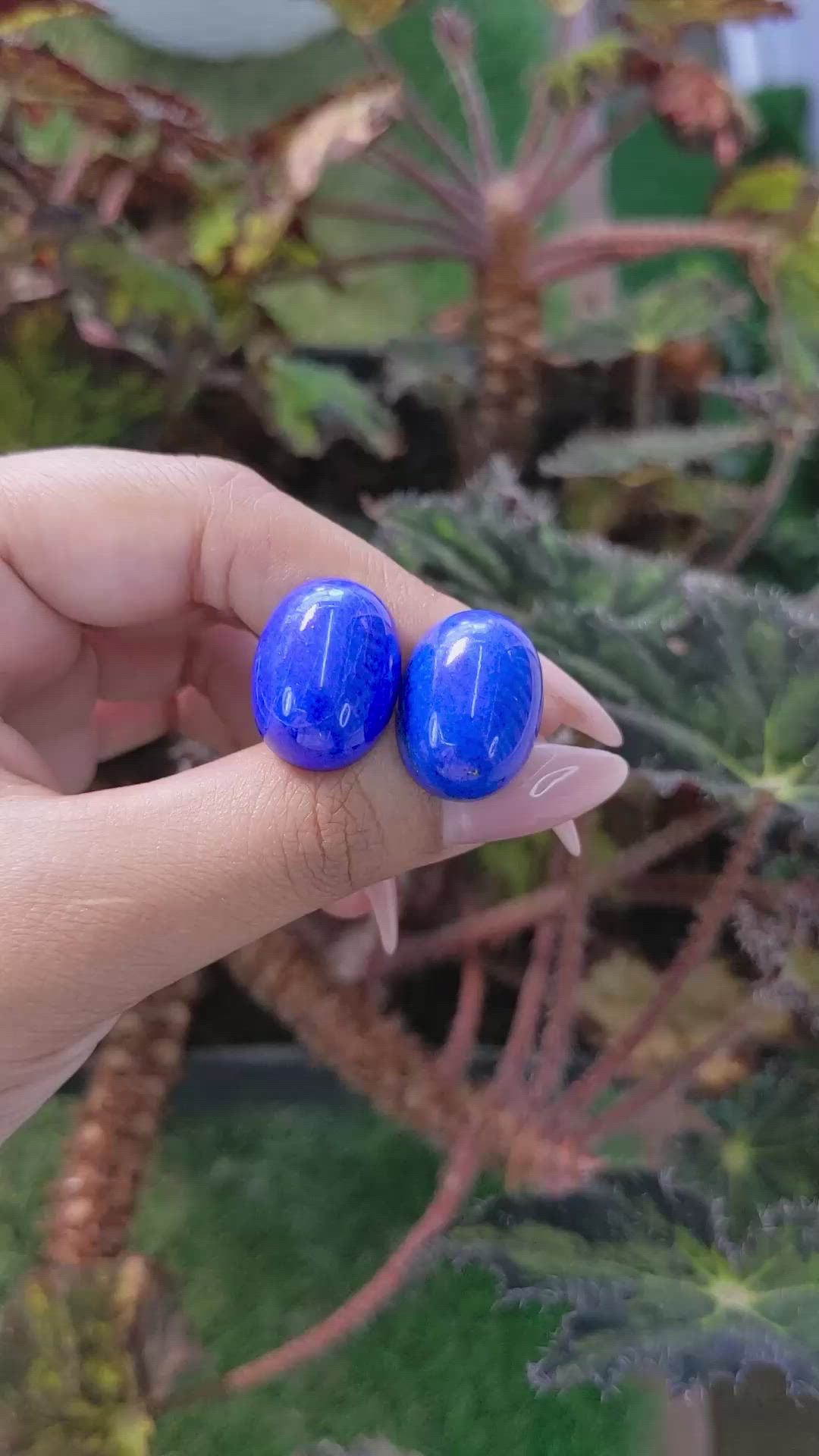 43.69&nbsp;Ct.Tw.Total Carat Weight Cabochon Lapis Pair from Afghanistan Size Video