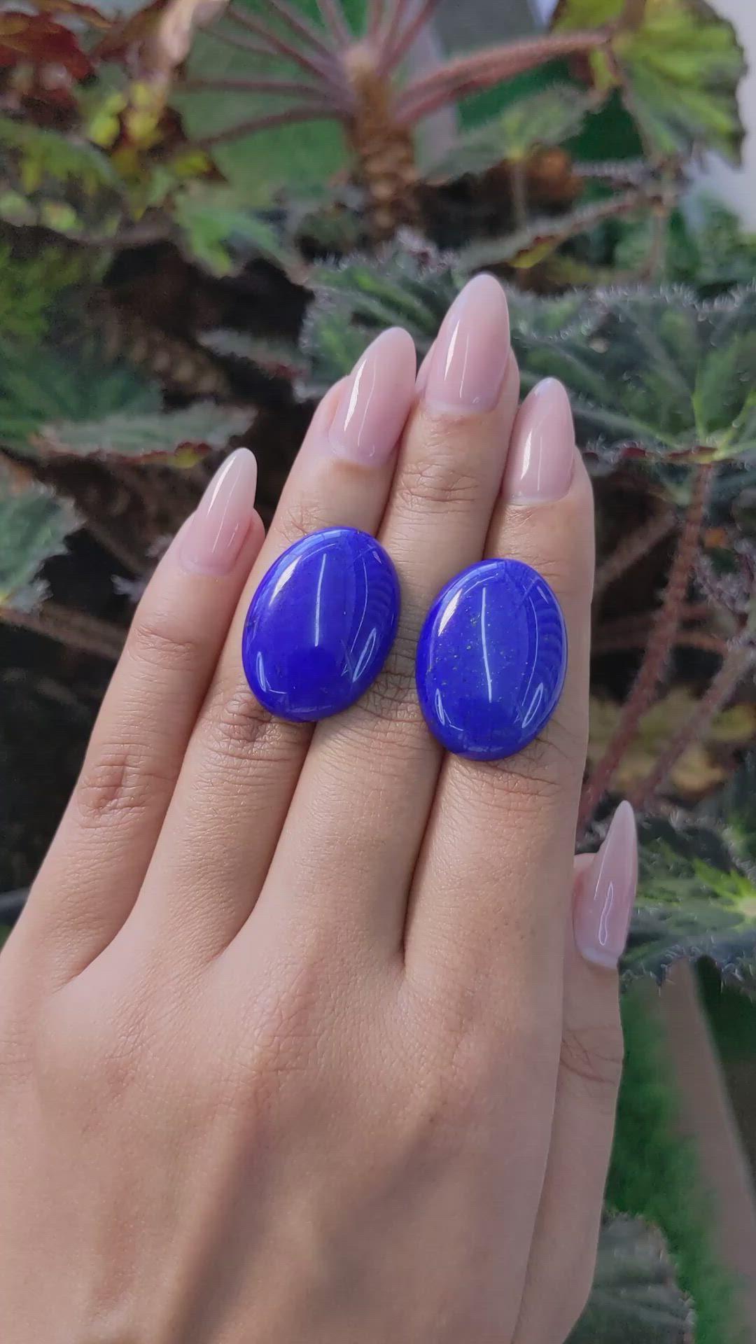 41.22 Ct.Tw.Total Carat Weight Cabochon Lapis Pair from Afghanistan Size Video