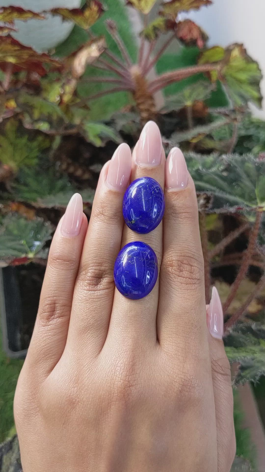 39.65 Ct.Tw.Total Carat Weight Cabochon Lapis Pair from Afghanistan Size Video