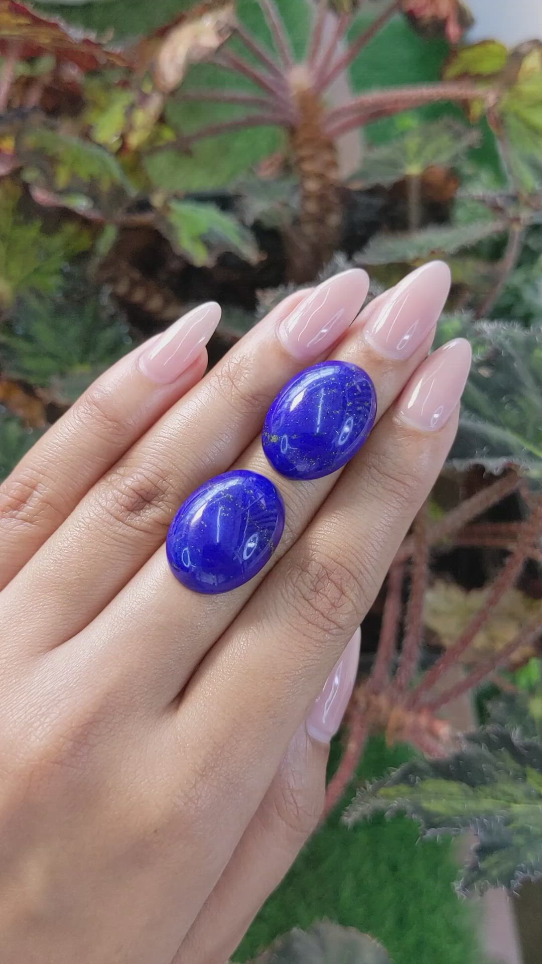 39.65&nbsp;Ct.Tw.Total Carat Weight Cabochon Lapis Pair from Afghanistan Size Video