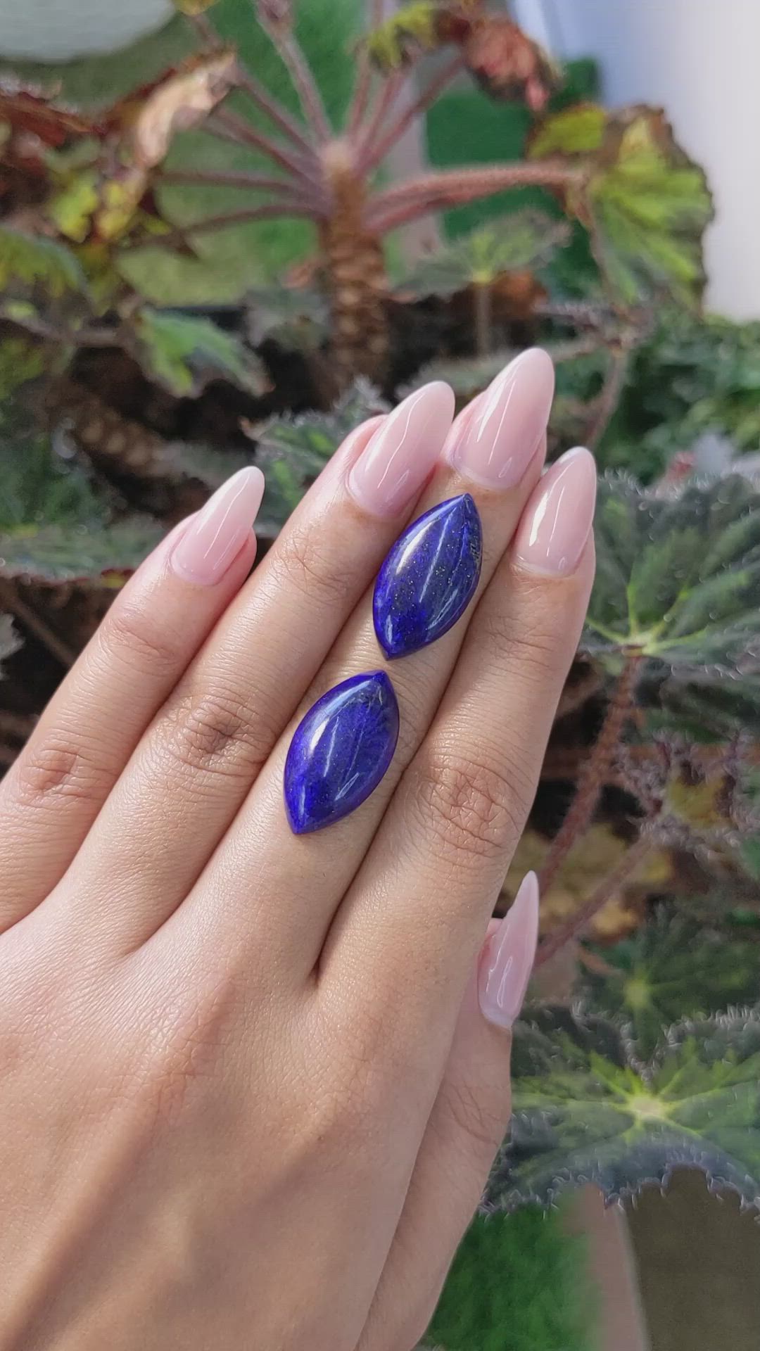 25.59&nbsp;Ct.Tw.Total Carat Weight Cabochon Lapis Pair from Afghanistan Size Video