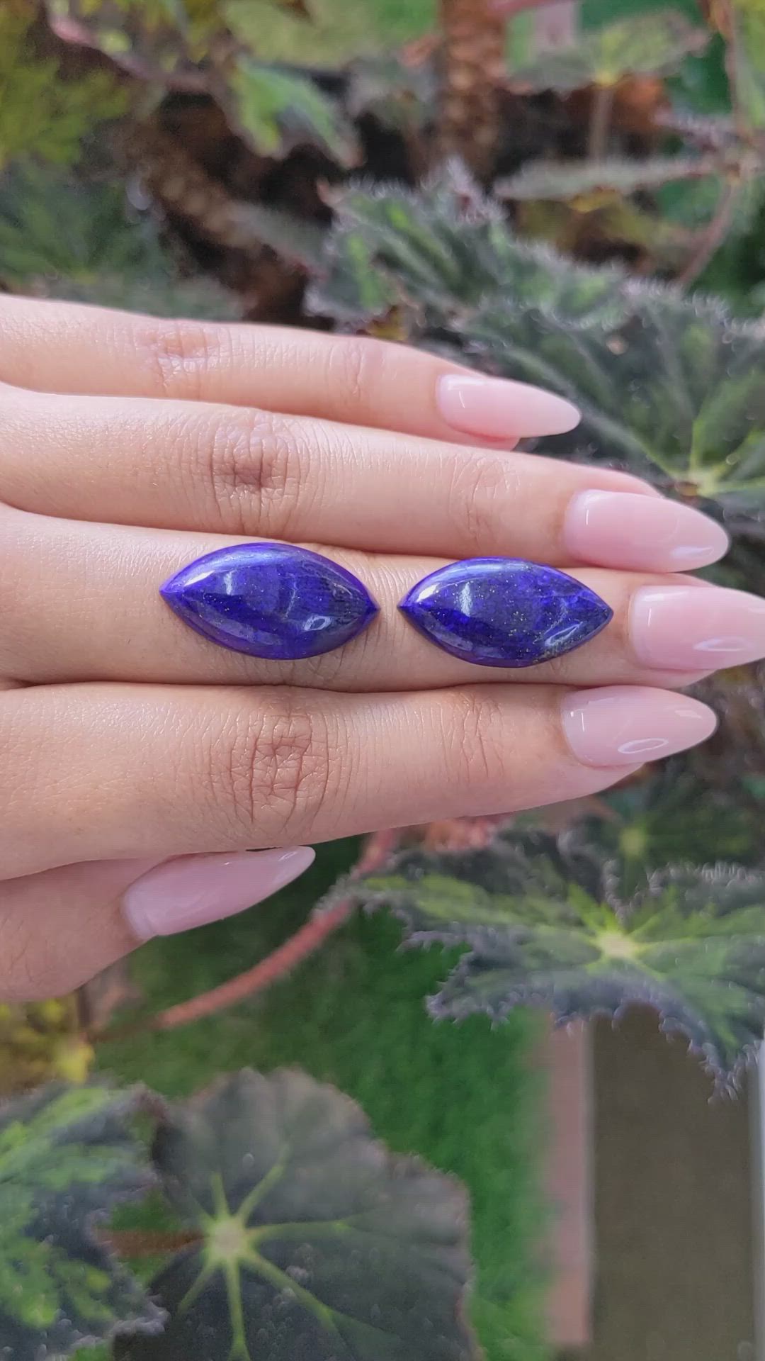 25.59&nbsp;Ct.Tw.Total Carat Weight Cabochon Lapis Pair from Afghanistan Size Video