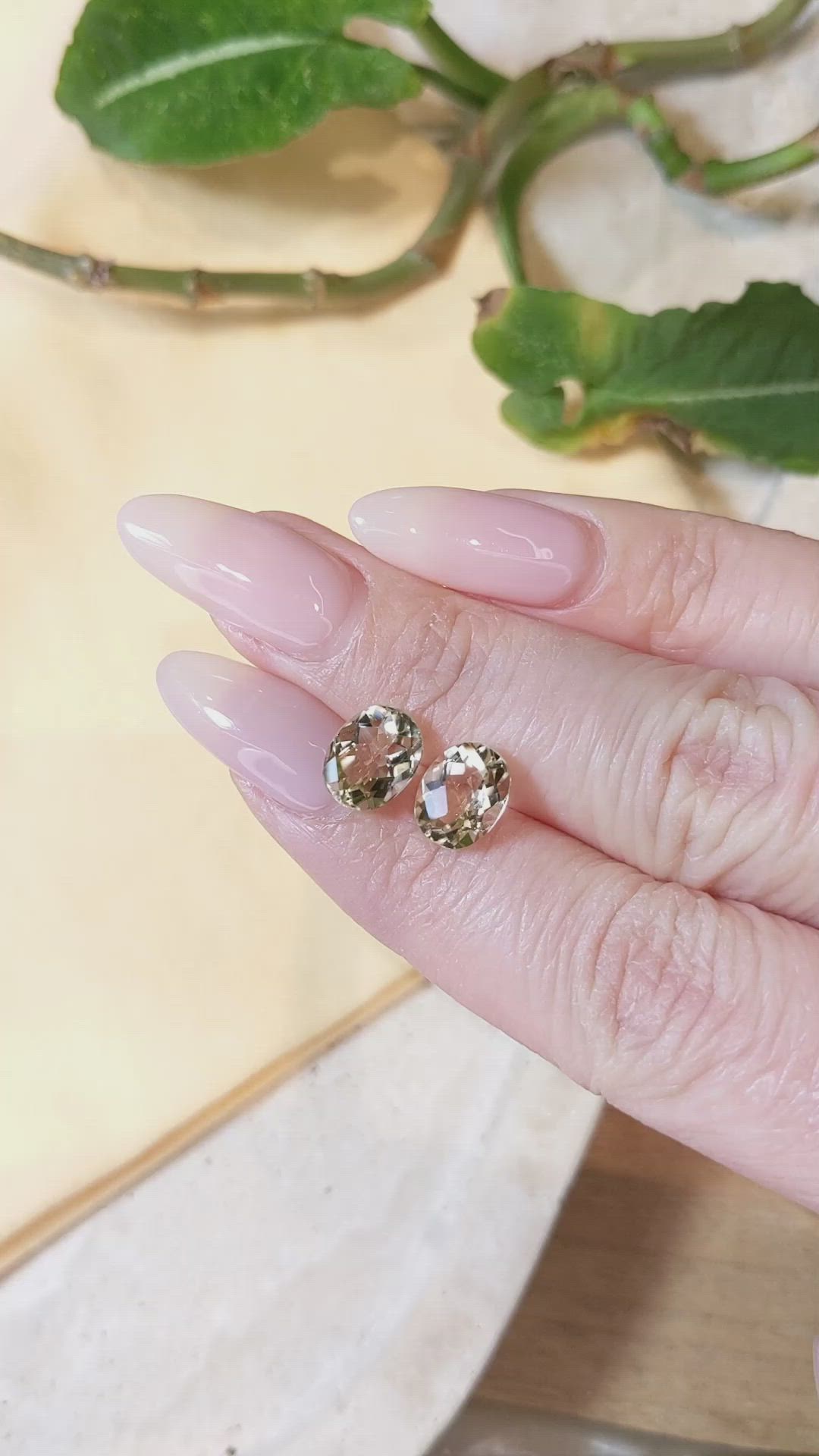 4.00&nbsp;Ct.Tw.Total Carat Weight Heliodor Pair from Pakistan Size Video