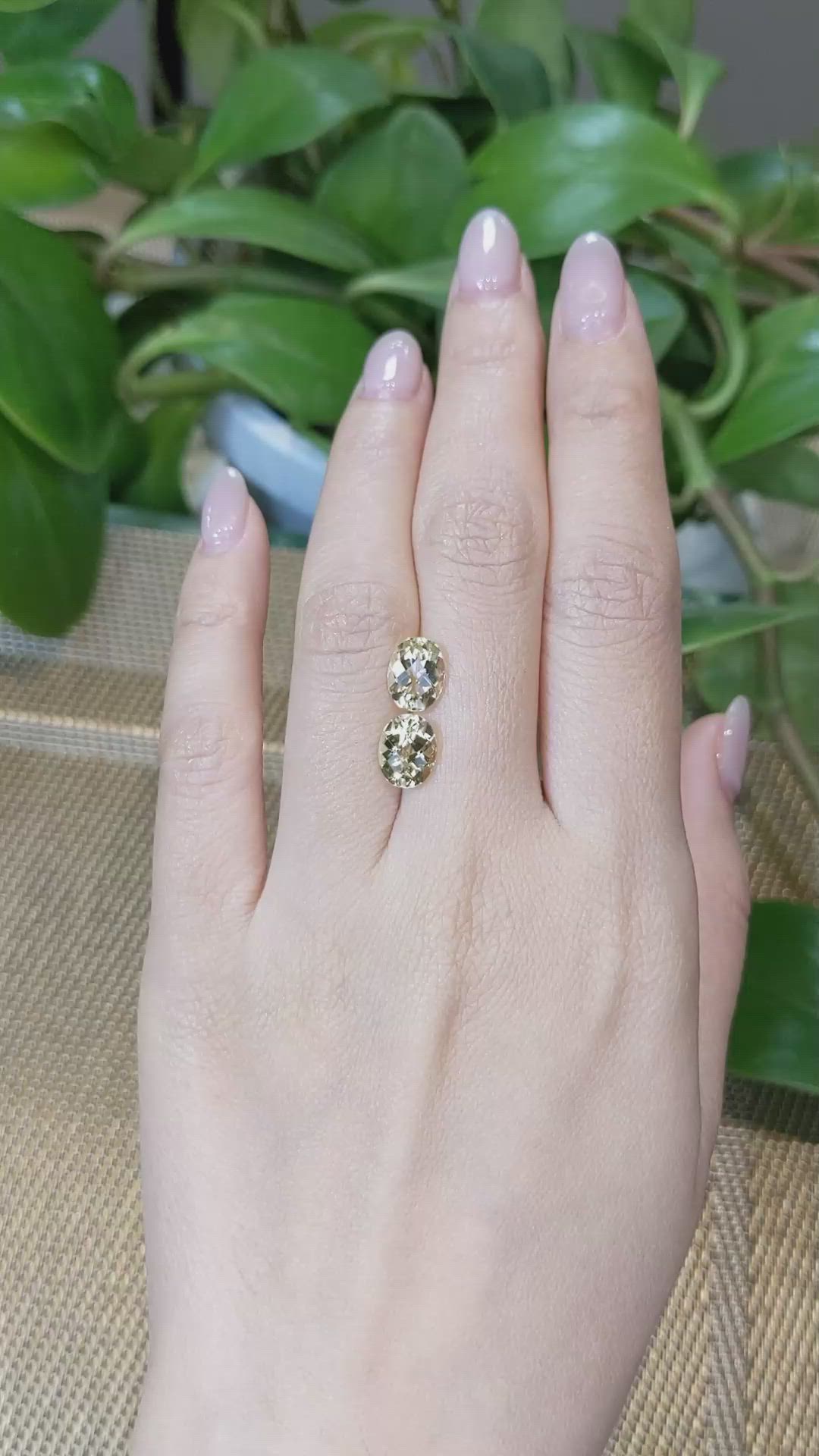 3.37&nbsp;Ct.Tw.Total Carat Weight Heliodor Pair from Pakistan Size Video