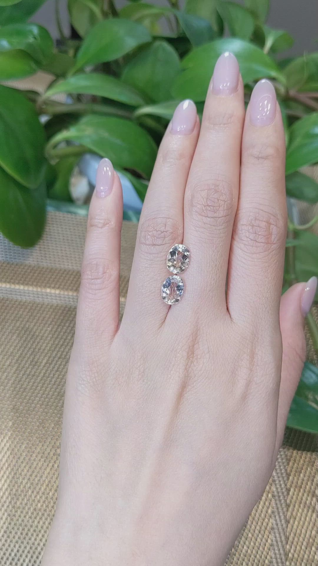 3.40&nbsp;Ct.Tw.Total Carat Weight Goshenite Pair from Pakistan Size Video