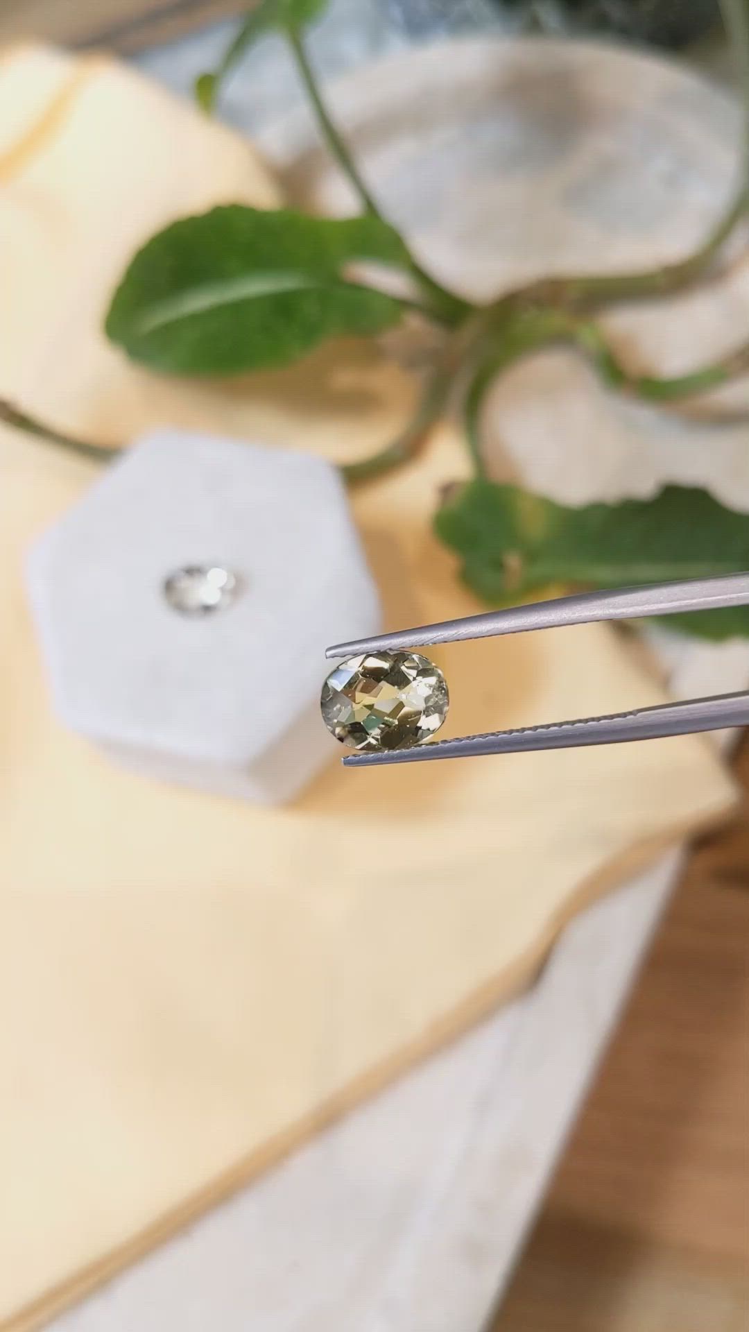 3.41&nbsp;Ct.Tw.Total Carat Weight Heliodor Pair from Pakistan Size Video