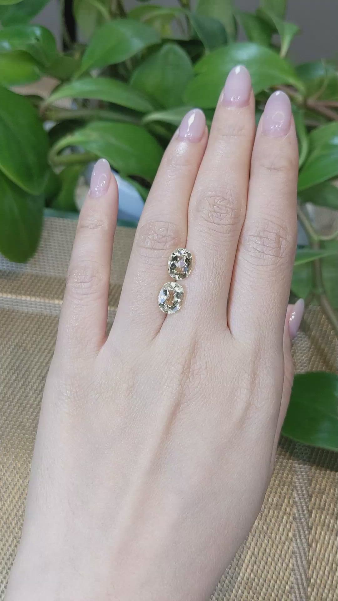 3.64&nbsp;Ct.Tw.Total Carat Weight Heliodor Pair from Pakistan Size Video