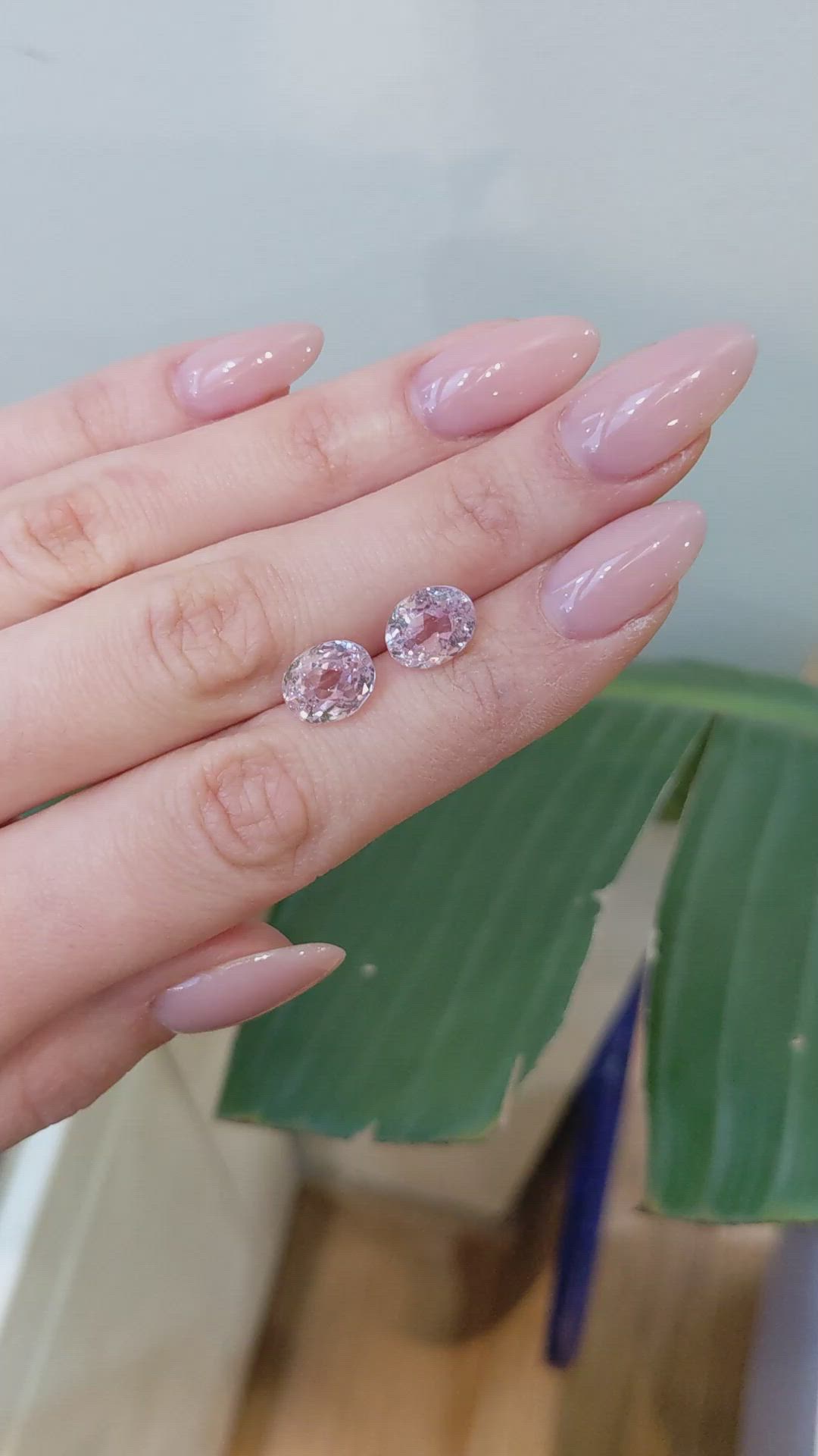 7.48&nbsp;Ct.Tw.Total Carat Weight Kunzite Pair from Brazil Size Video