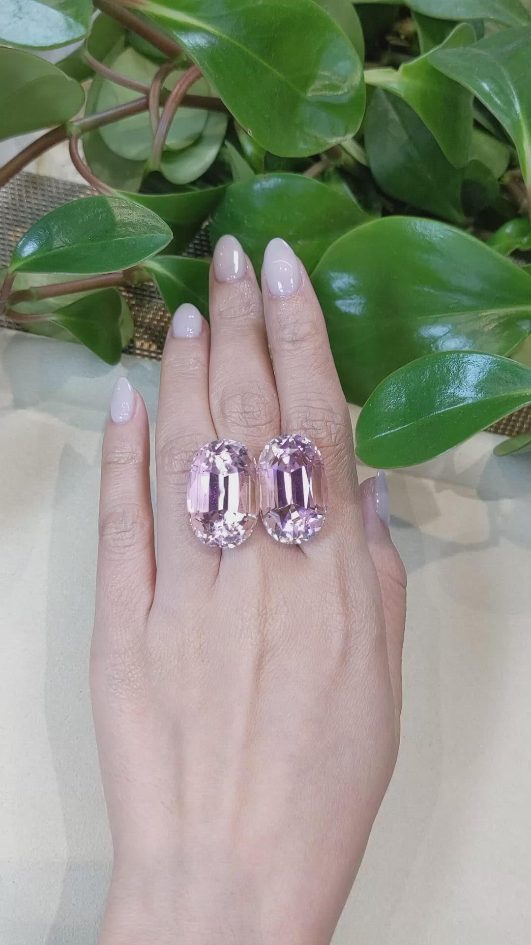 77.69&nbsp;Ct.Tw.Total Carat Weight Kunzite Pair from Afghanistan Size Video
