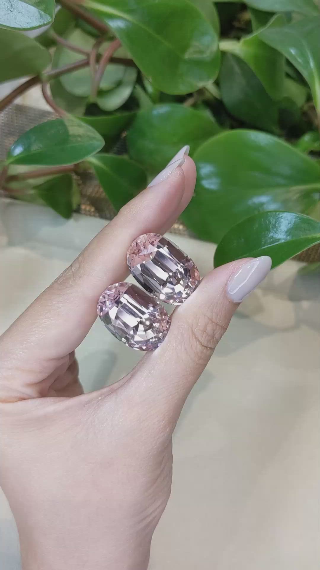 77.69&nbsp;Ct.Tw.Total Carat Weight Kunzite Pair from Afghanistan Size Video