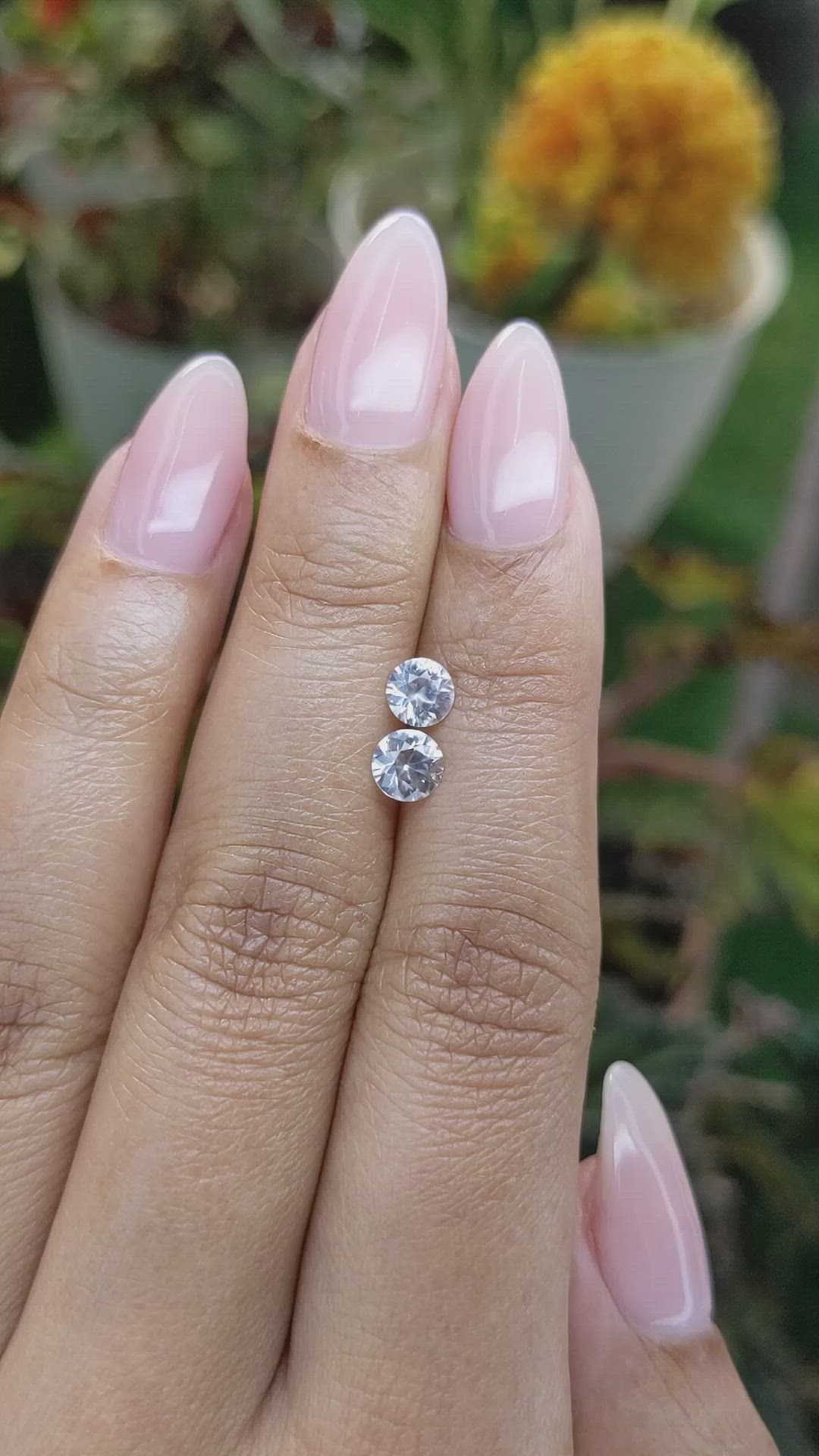 1.30 Ct.Tw.Total Carat Weight Zircon Pair from Ceylon (Sri Lanka) Size Video