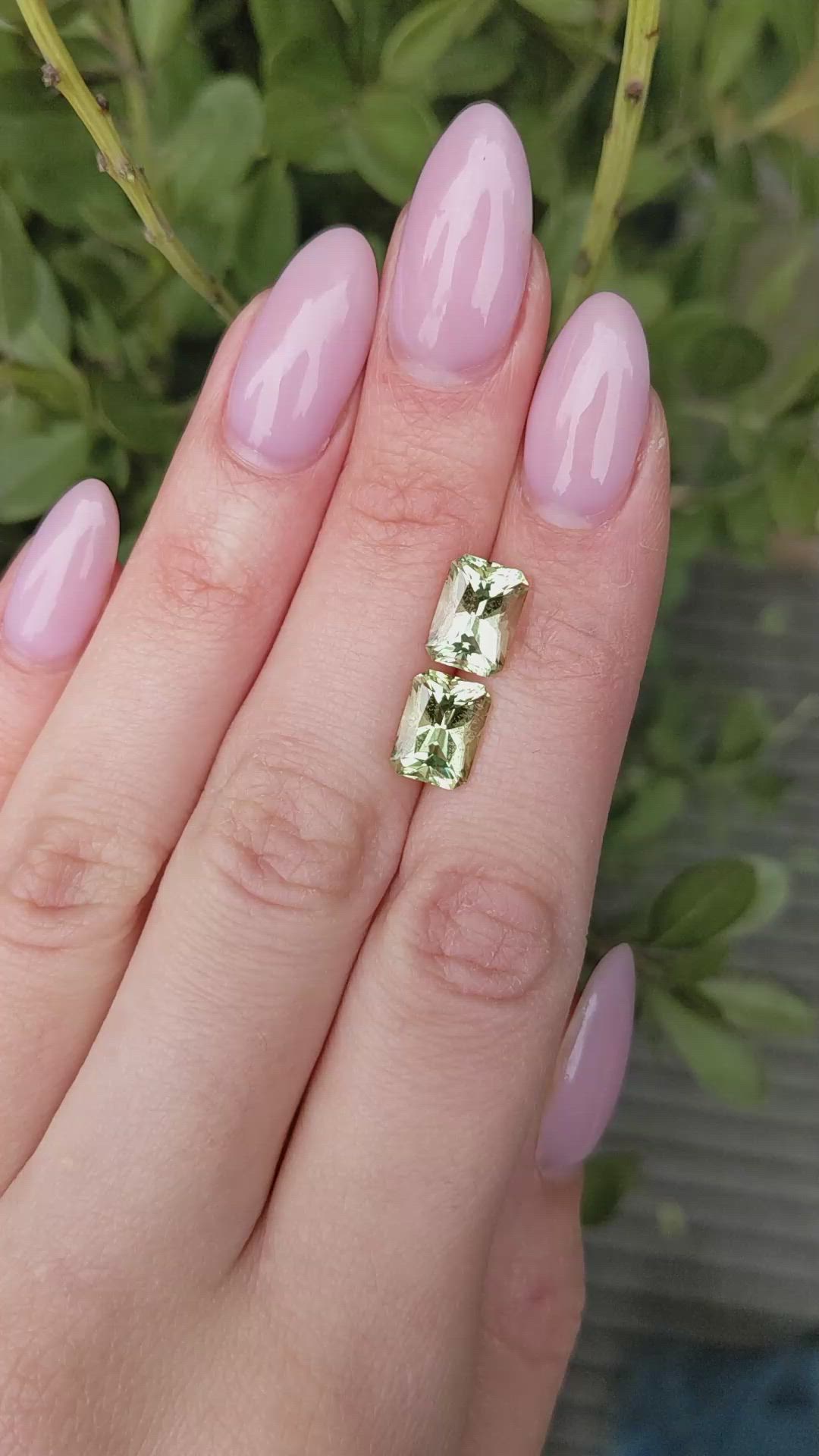 4.87 Ct.Tw.Total Carat Weight Beryl Pair from South Africa Size Video