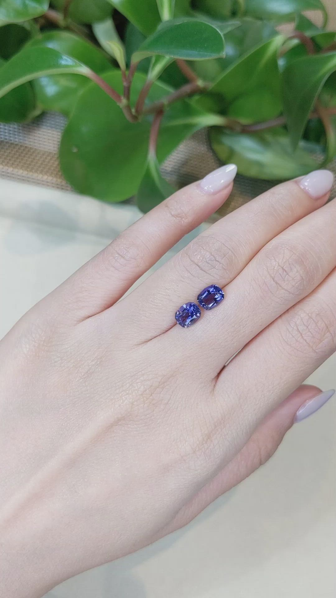 2.04&nbsp;Ct.Tw.Total Carat Weight Purplish Blue Iolite Pair from Madagascar Size Video