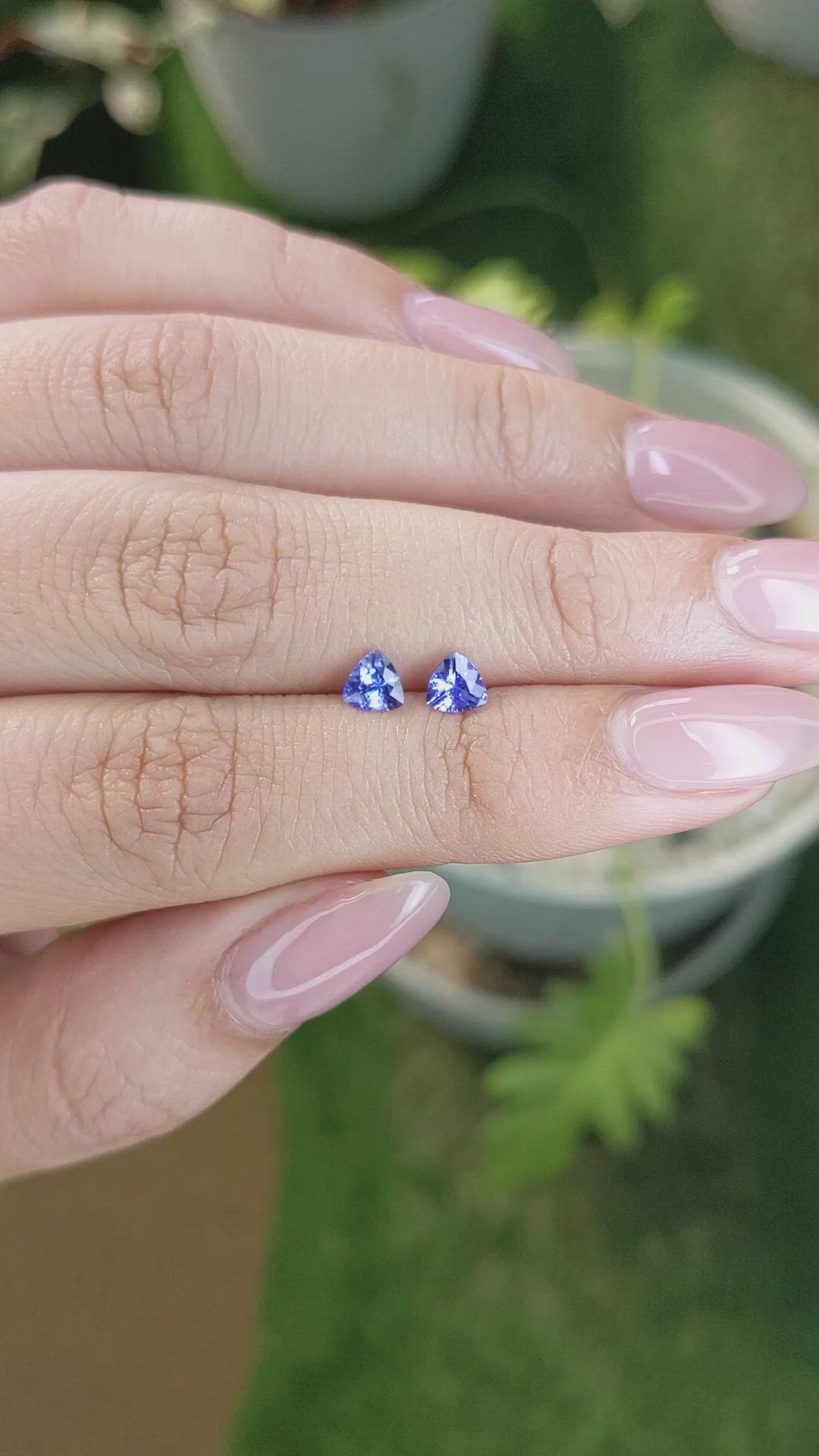 0.61&nbsp;Ct.Tw.Total Carat Weight Tanzanite Pair from Tanzania Size Video