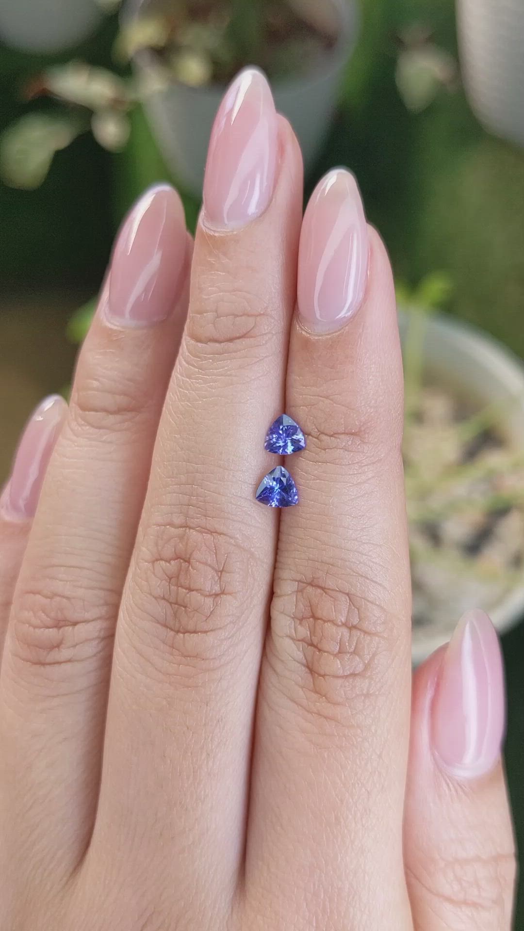 0.61&nbsp;Ct.Tw.Total Carat Weight Tanzanite Pair from Tanzania Size Video