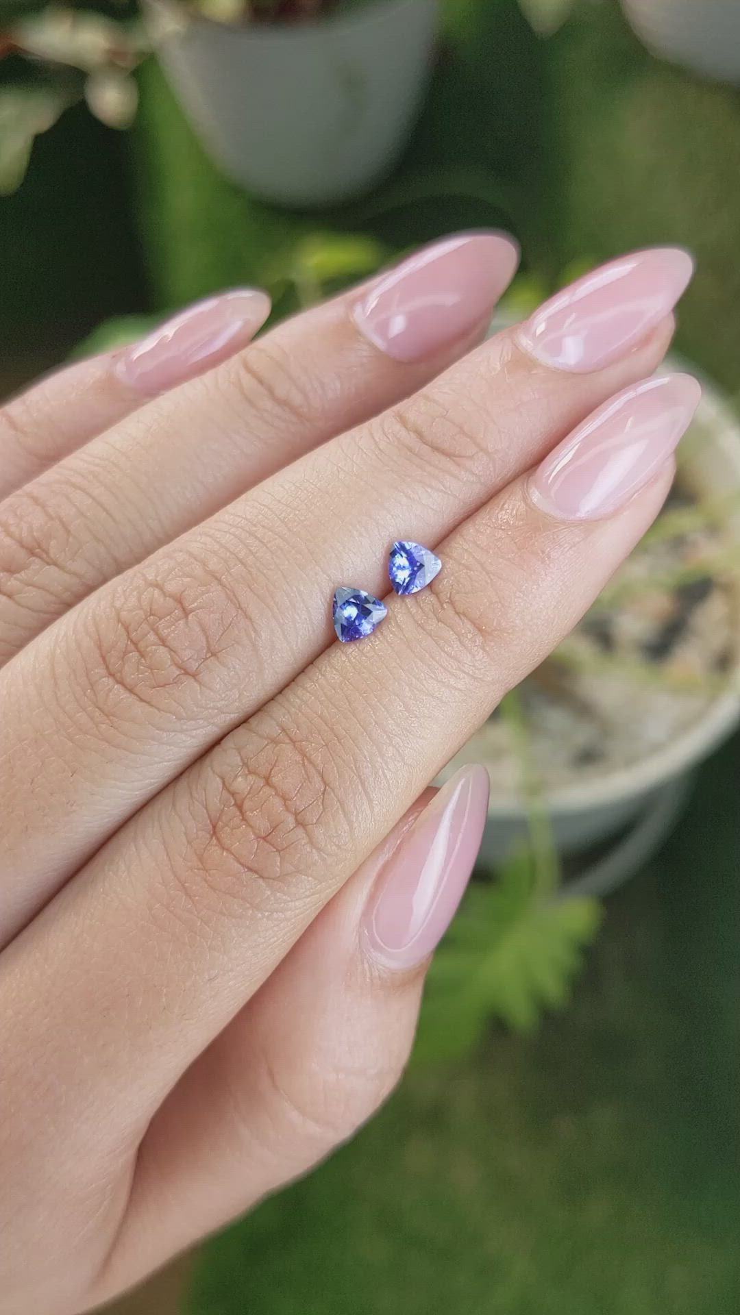 0.61&nbsp;Ct.Tw.Total Carat Weight Tanzanite Pair from Tanzania Size Video