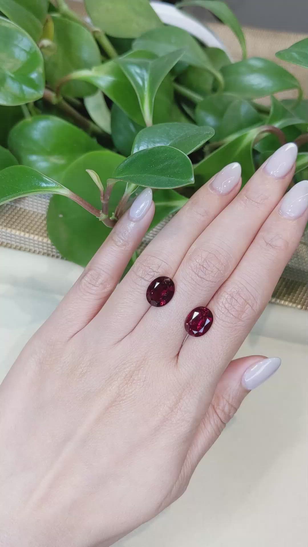 6.71&nbsp;Ct.Tw.Total Carat Weight Rubellite Tourmaline Pair from Brazil Size Video